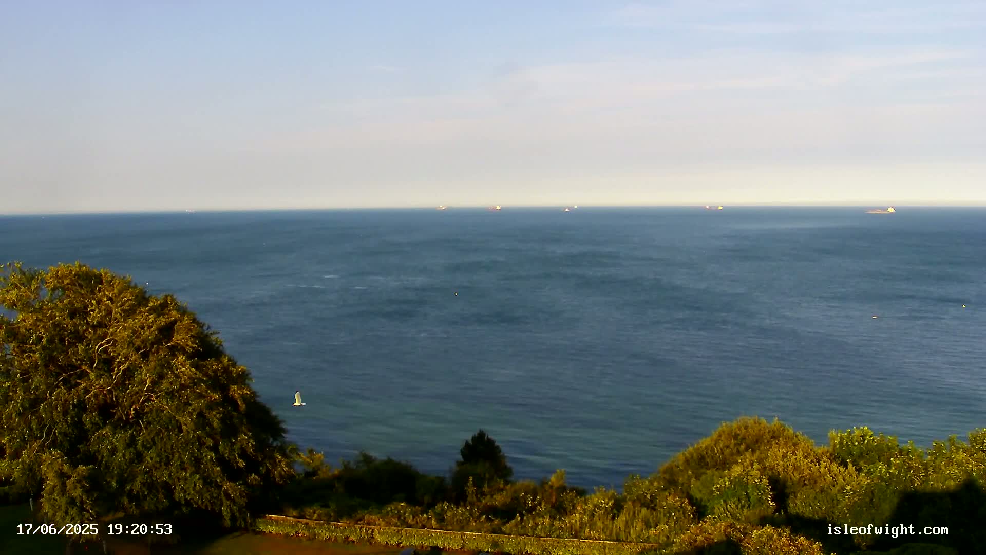A calm, clear day reveals a vast expanse of ocean with several distant ships, viewed from a verdant coastal overlook.