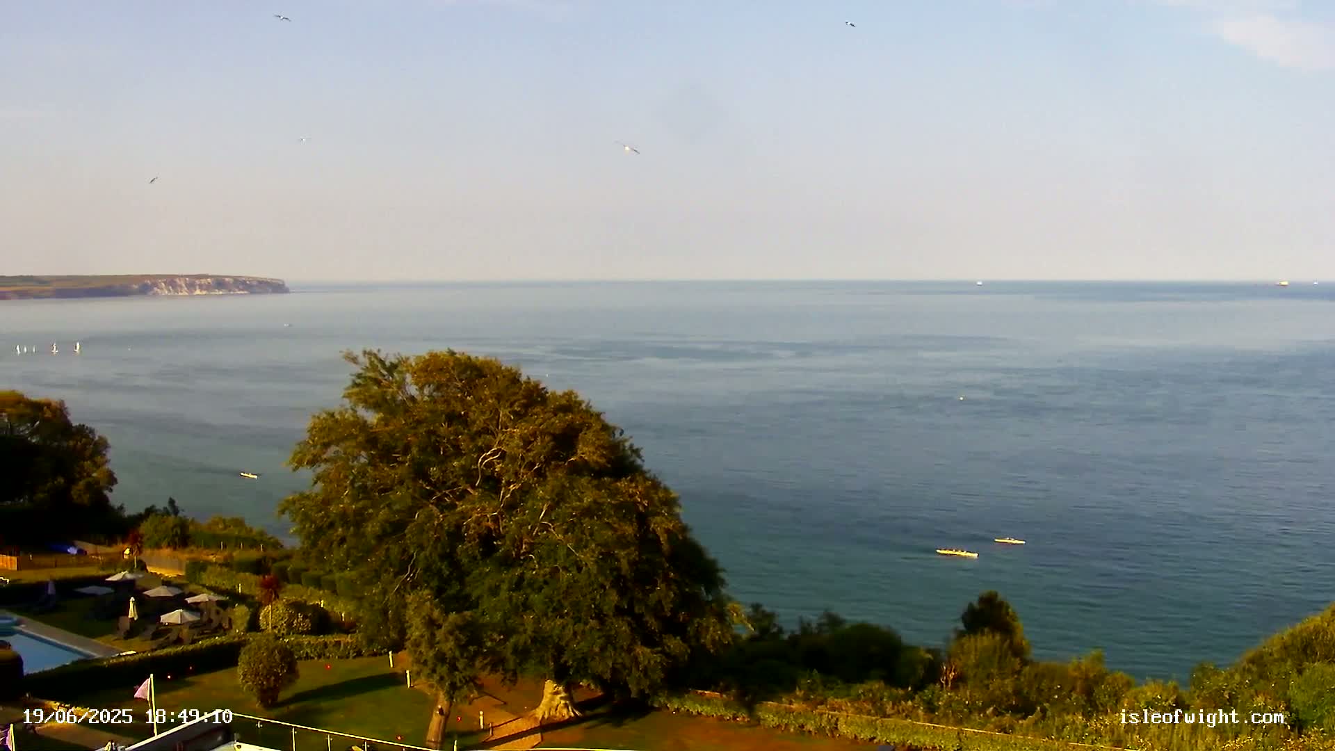 A tranquil seaside view shows a calm ocean with a few small boats, a distant headland, and a large tree in the foreground under a clear sky.