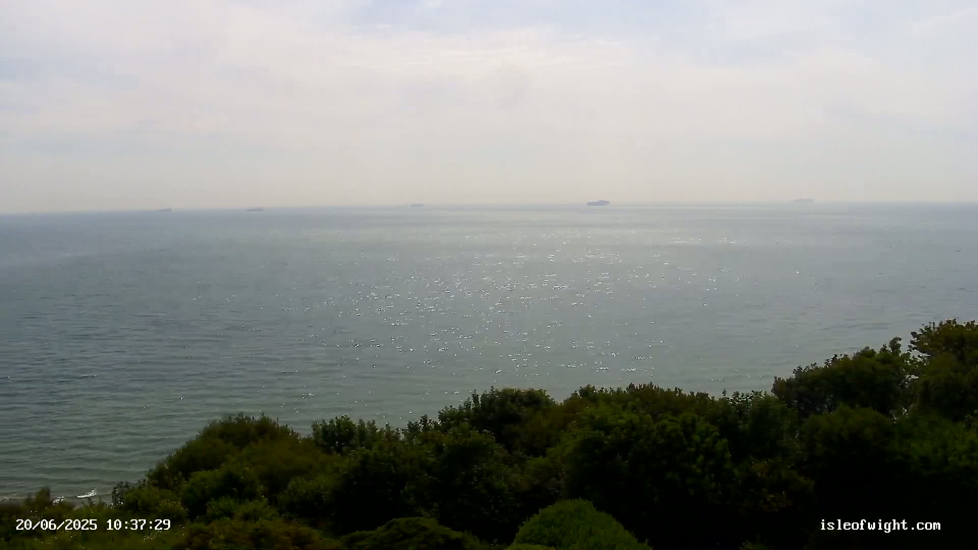A hazy, overcast day reveals a calm sea with a few distant ships visible from an elevated vantage point above a line of dark green trees.