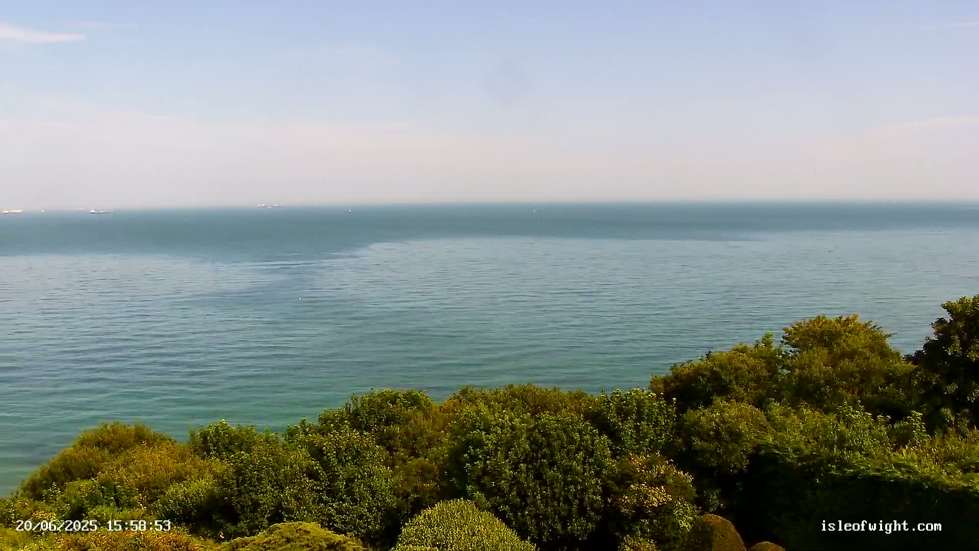 A calm, clear day shows a vast expanse of sea meeting a lush green shoreline of trees and shrubs.