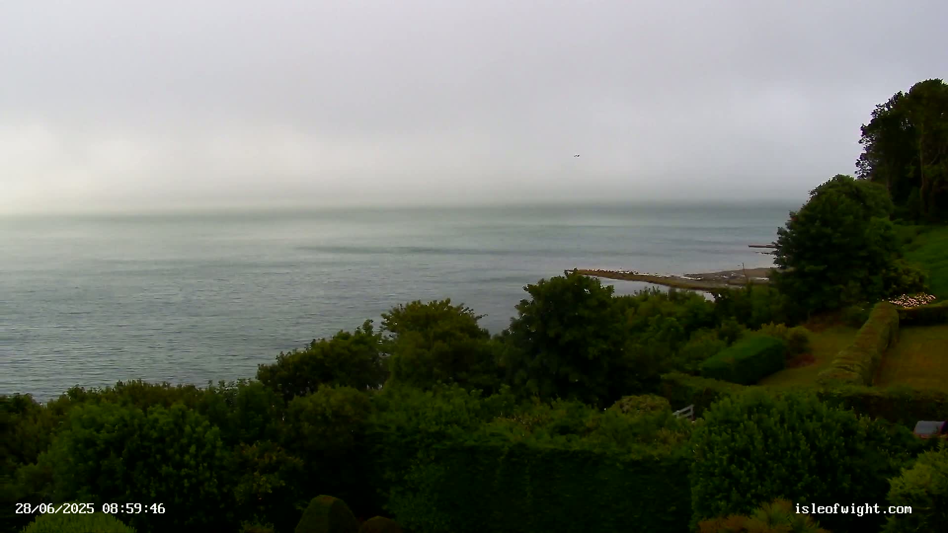A foggy expanse of ocean is seen from a verdant hillside with manicured hedges and lush trees.