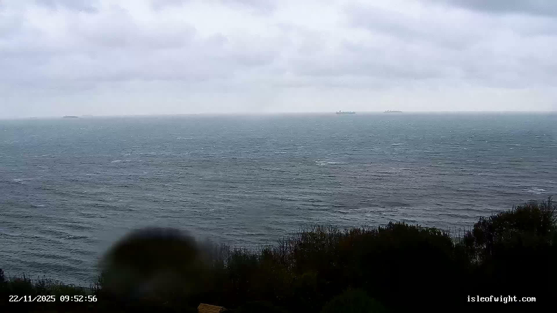 Under a heavily overcast and gloomy sky, a vast, choppy sea stretches to the horizon with several distant ships, while dark foliage fills the immediate foreground.