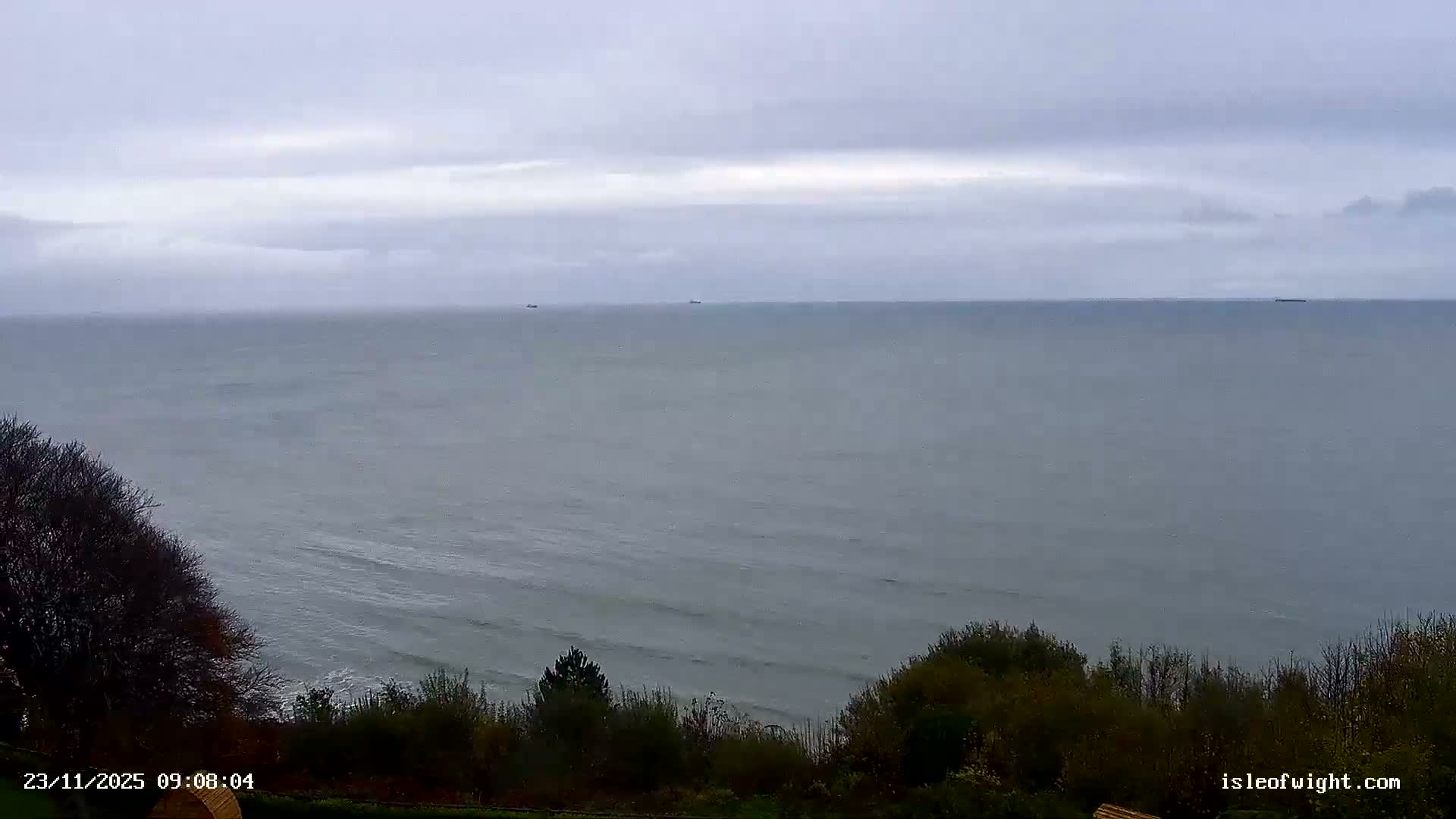 A wide shot features a grey, overcast sky over a vast, gently wavy sea with several distant ships on the horizon, bordered by dark, dense vegetation on a sloped foreground.