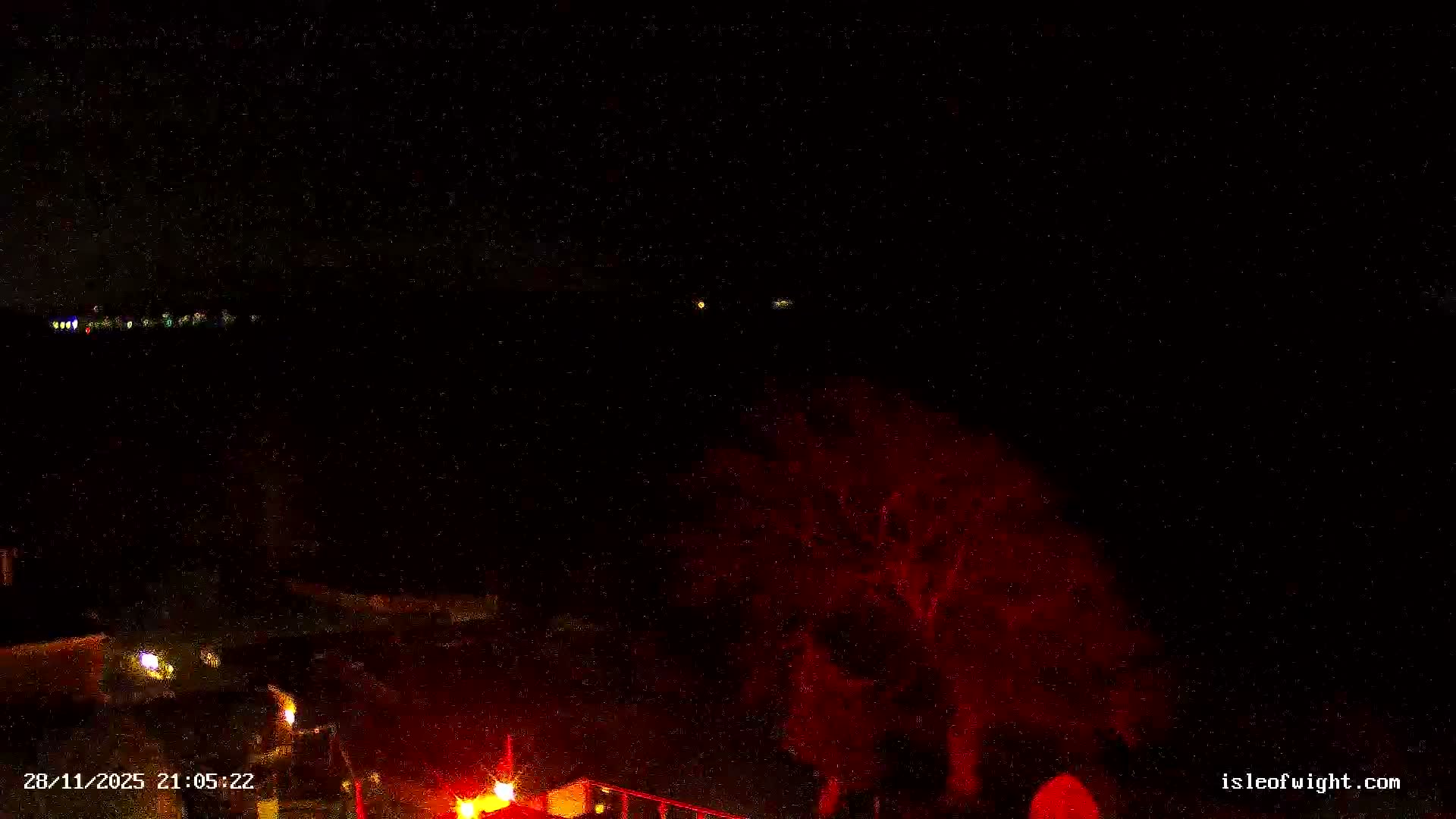 A very dark nighttime outdoor scene features distant colorful lights of a town or coastline stretching across the horizon, with a large tree distinctly illuminated in red and other artificial lights scattered in the immediate foreground.