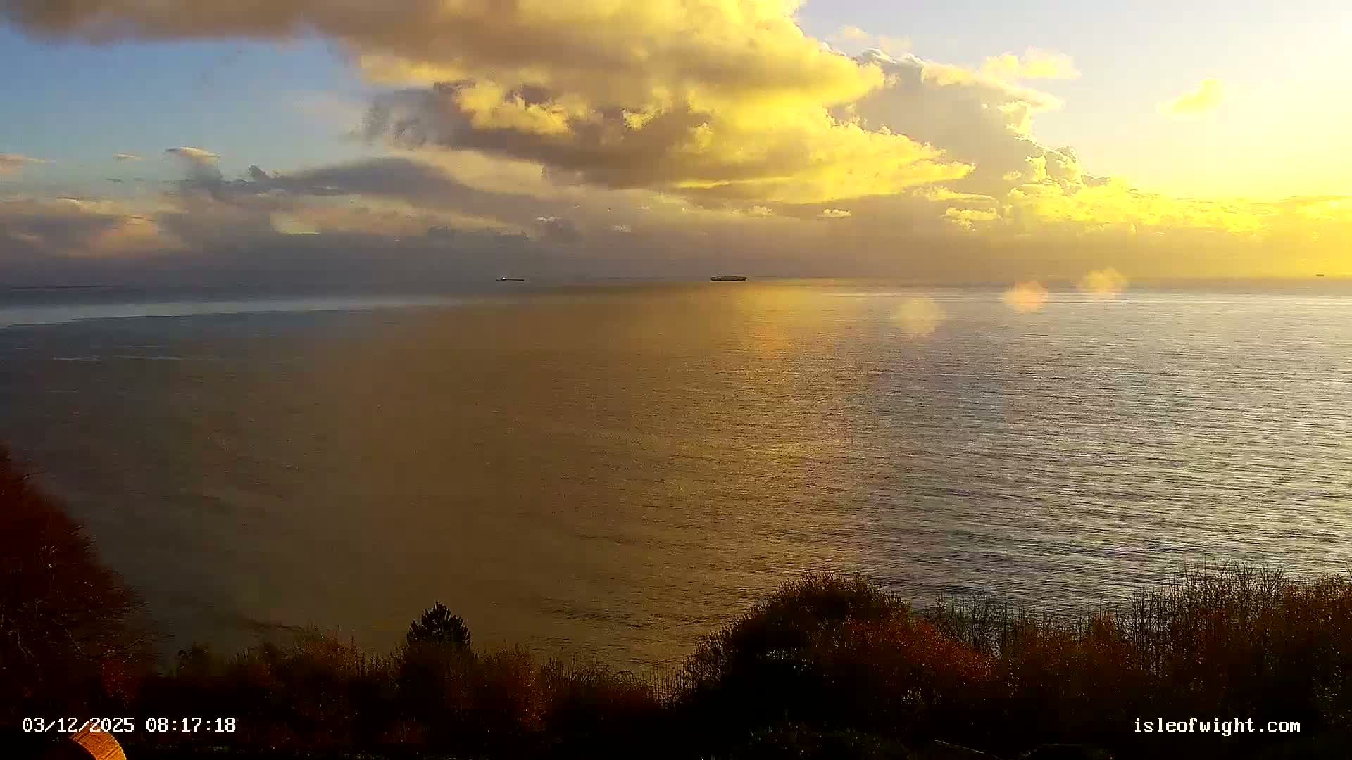 A wide view of a calm ocean is bathed in brilliant golden sunlight under a partially cloudy sky, with several ships on the horizon and dark foliage in the foreground.