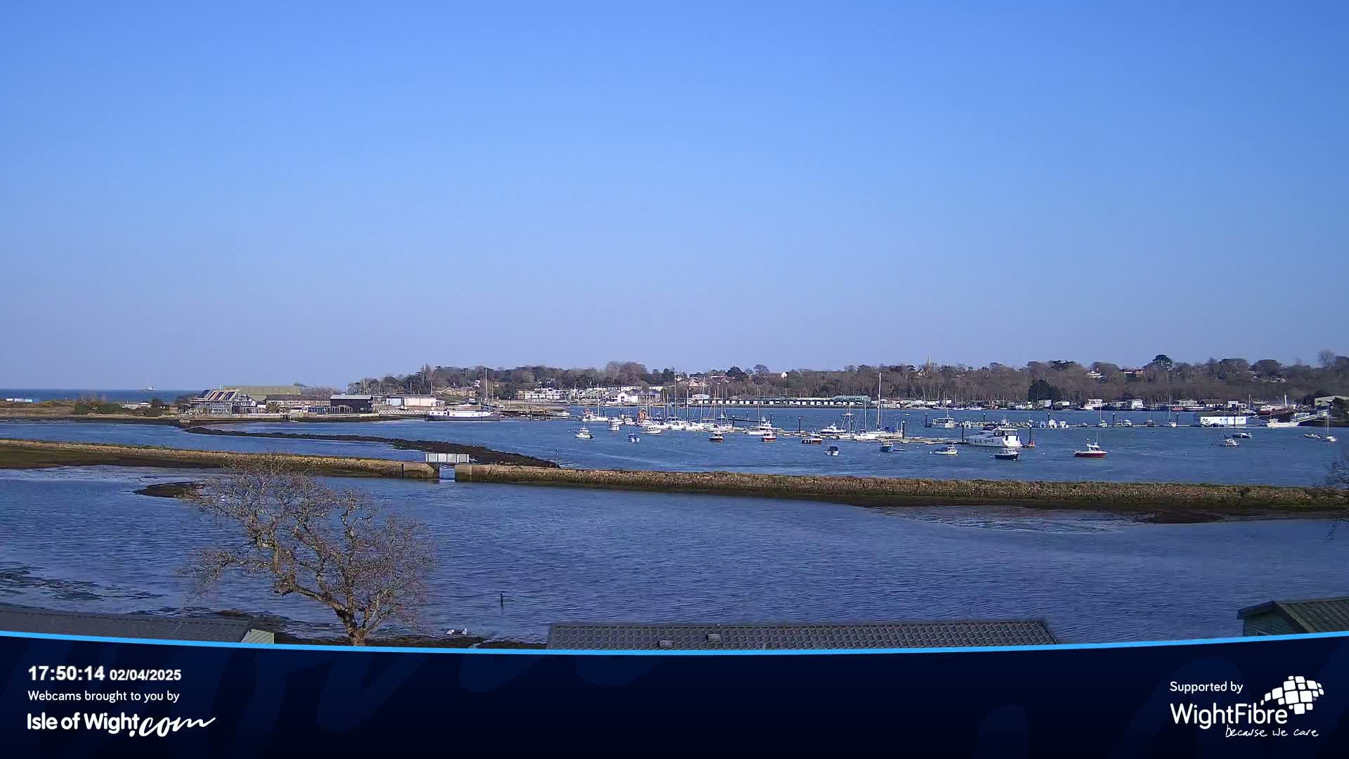 A calm body of water with numerous boats docked in a harbor, under a clear blue sky.