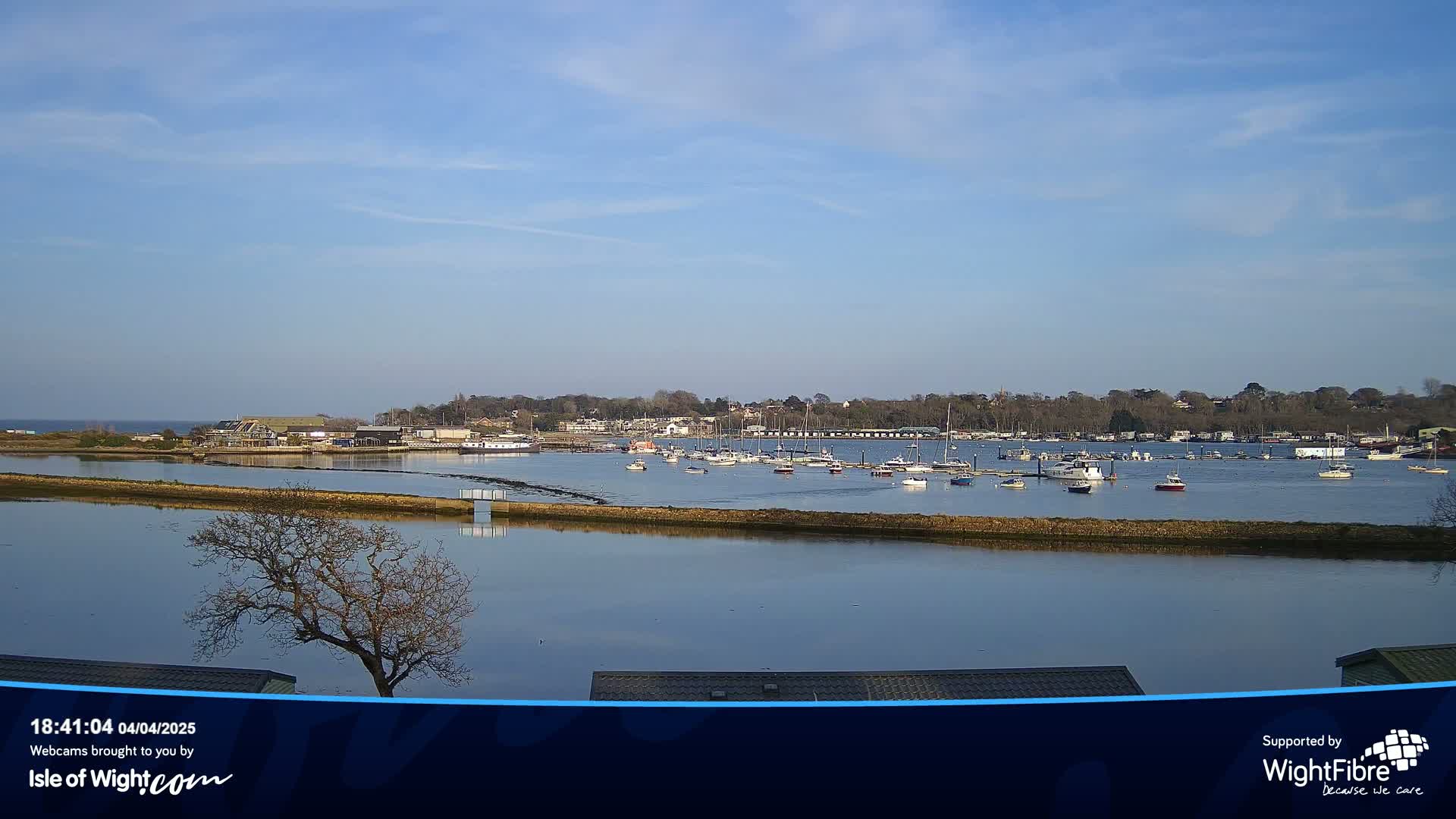 A calm body of water with numerous boats moored in a harbor, under a clear blue sky.