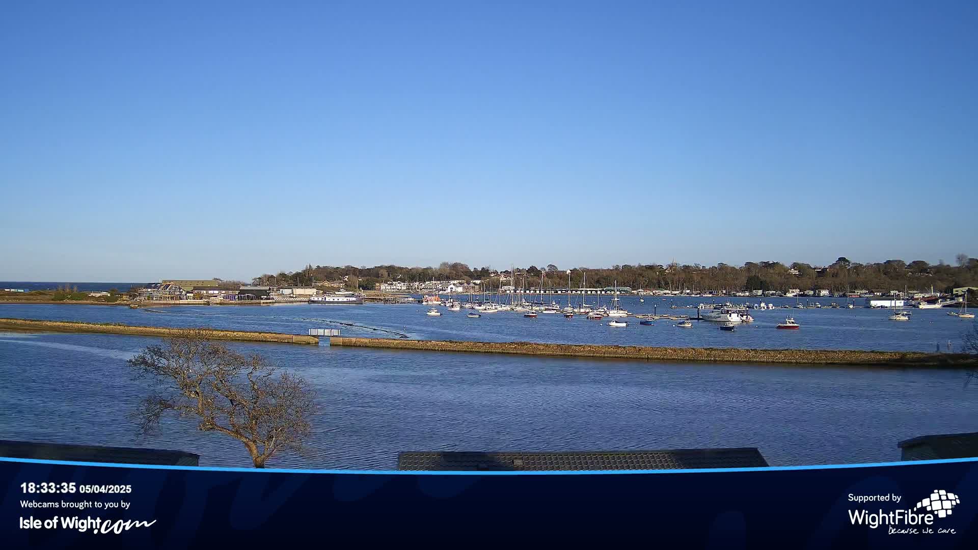 A calm body of water with numerous boats and a shoreline with buildings and trees under a clear blue sky.