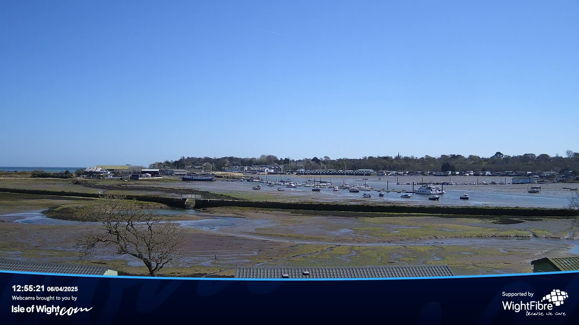 A sunny day reveals a harbor filled with boats at low tide, surrounded by a shoreline and a line of buildings and trees in the distance.
