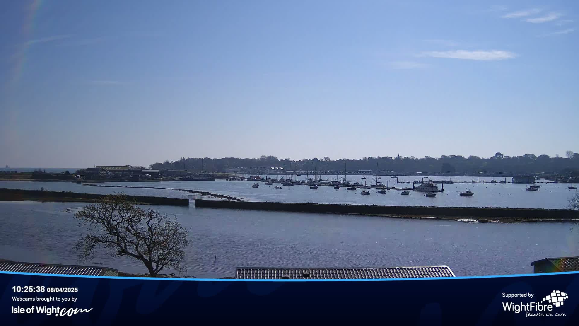 A calm body of water with numerous boats moored in a harbor under a clear, sunny sky.