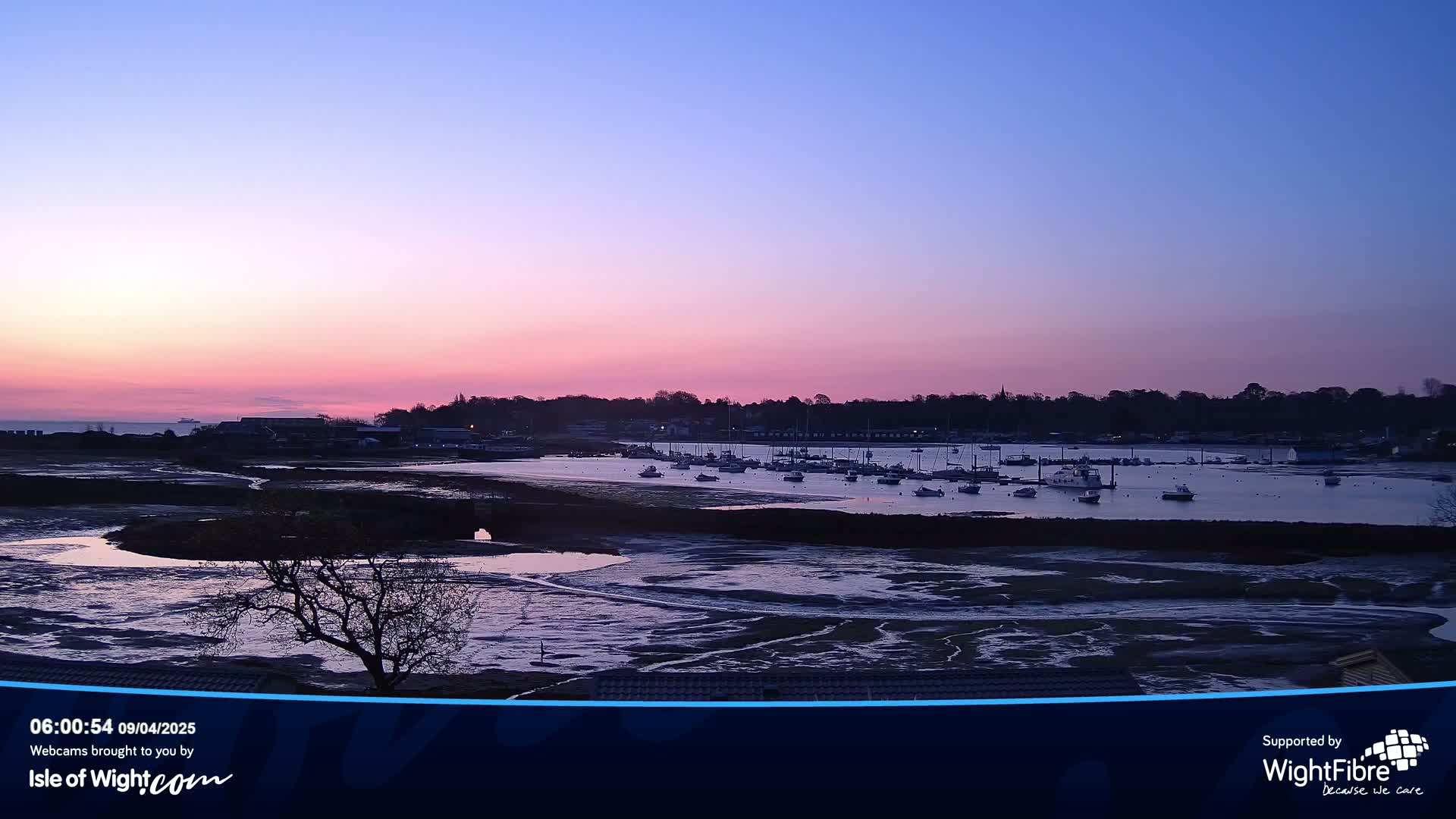 A pink and purple sunrise illuminates a calm harbor filled with numerous boats at low tide.