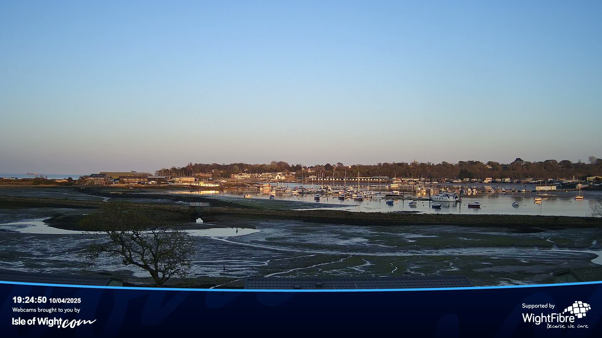 A calm body of water at low tide with numerous boats moored in a marina, backed by a line of trees and buildings under a clear, light blue sky.