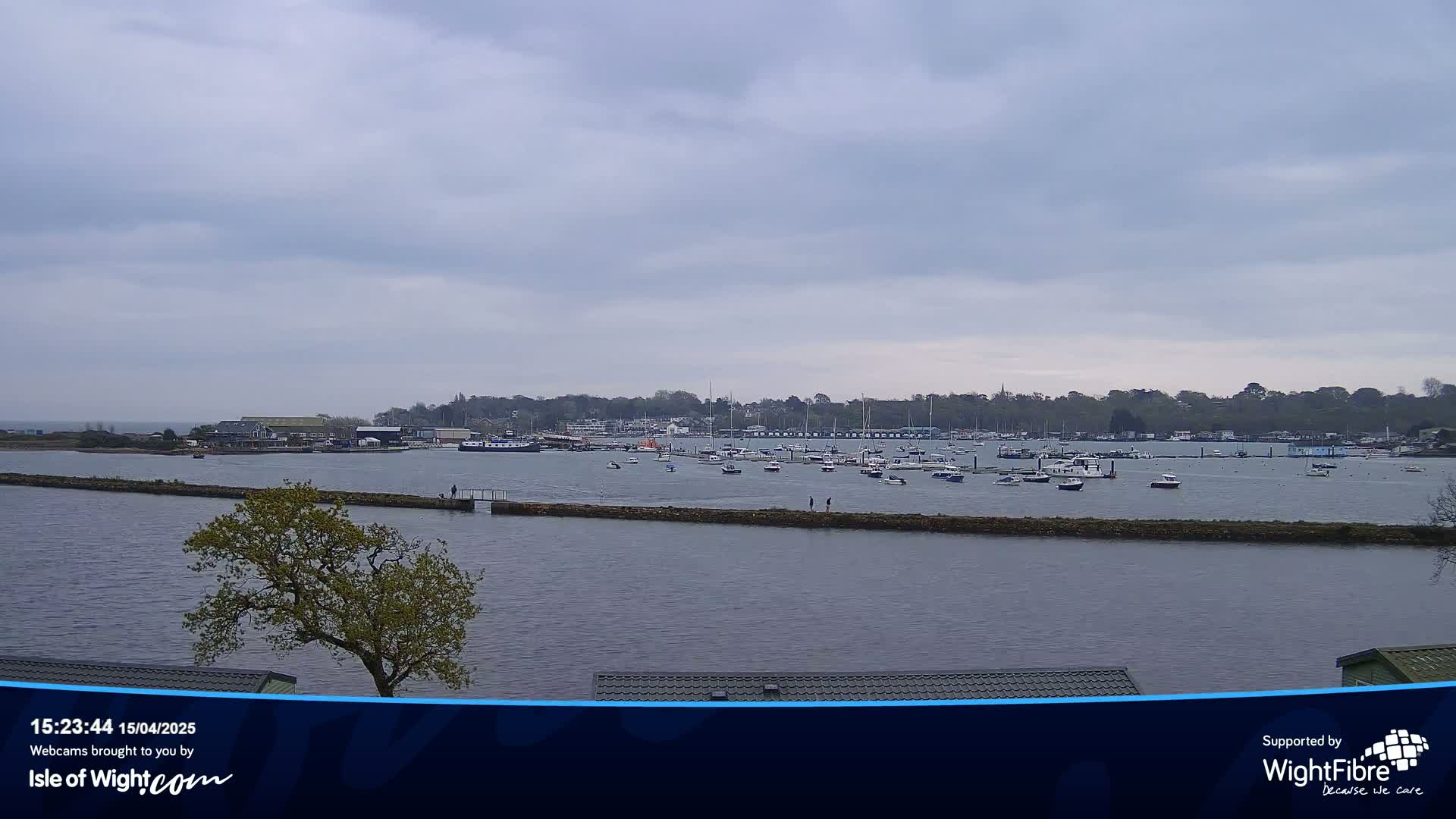 A calm, overcast day reveals a harbor filled with numerous boats and small vessels, with a tree in the foreground.
