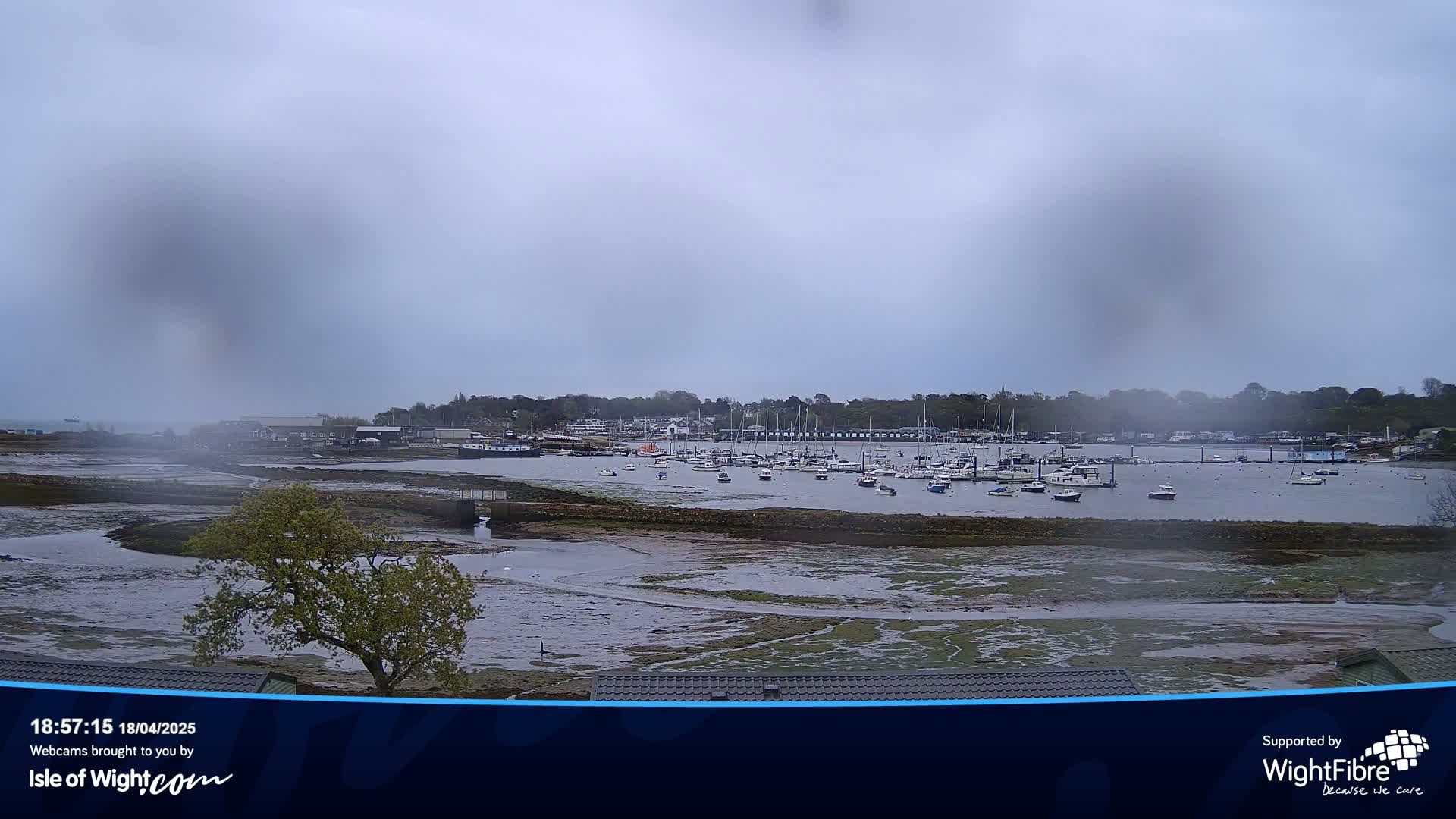 A harbor filled with numerous boats is seen under an overcast sky, with exposed mudflats visible at low tide.