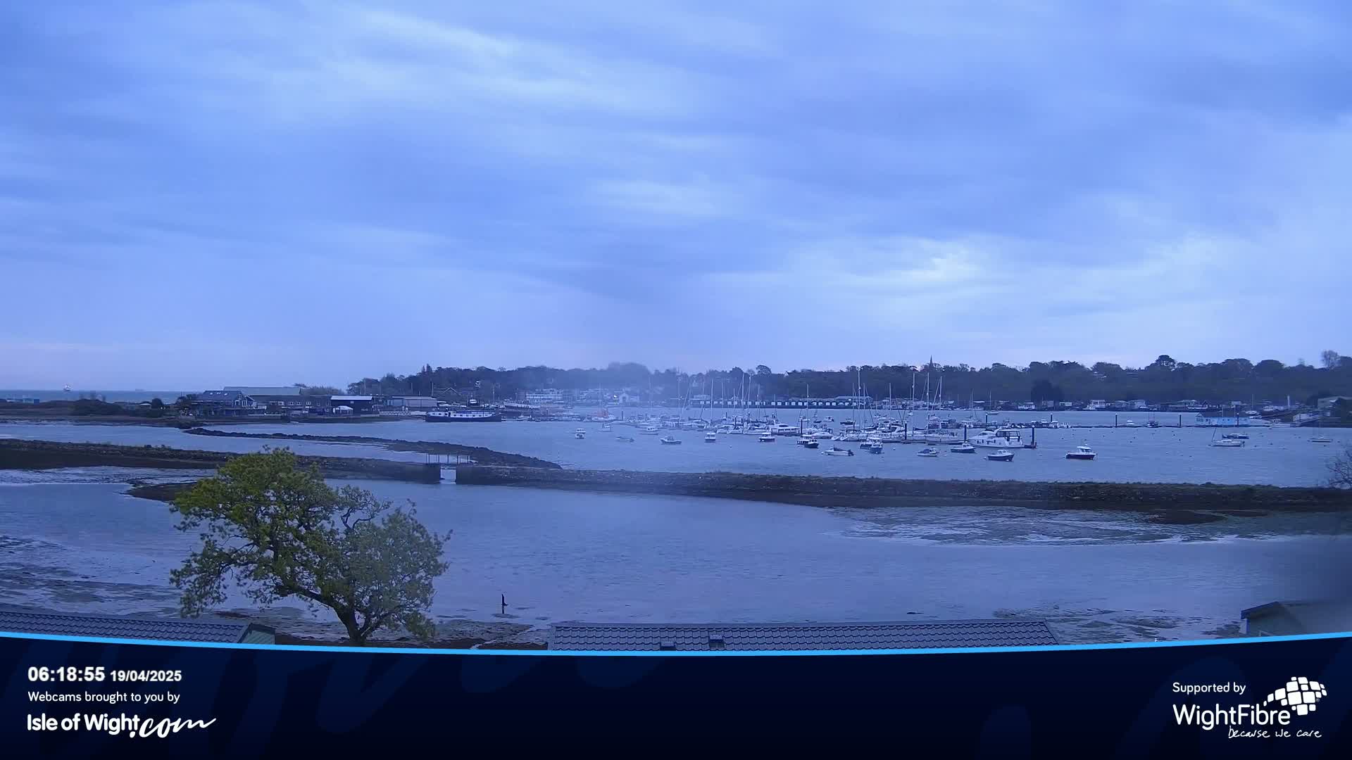 A calm, overcast day reveals a harbor filled with numerous boats, nestled beside a shoreline with trees and buildings.