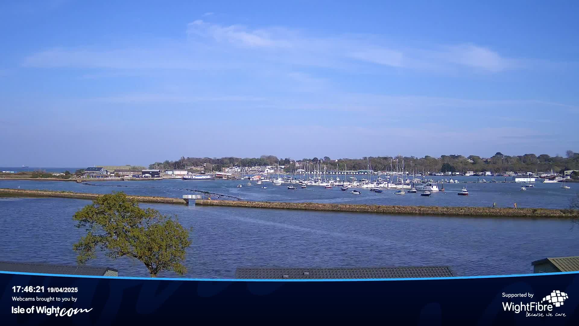 A harbor filled with numerous boats is visible under a clear blue sky.