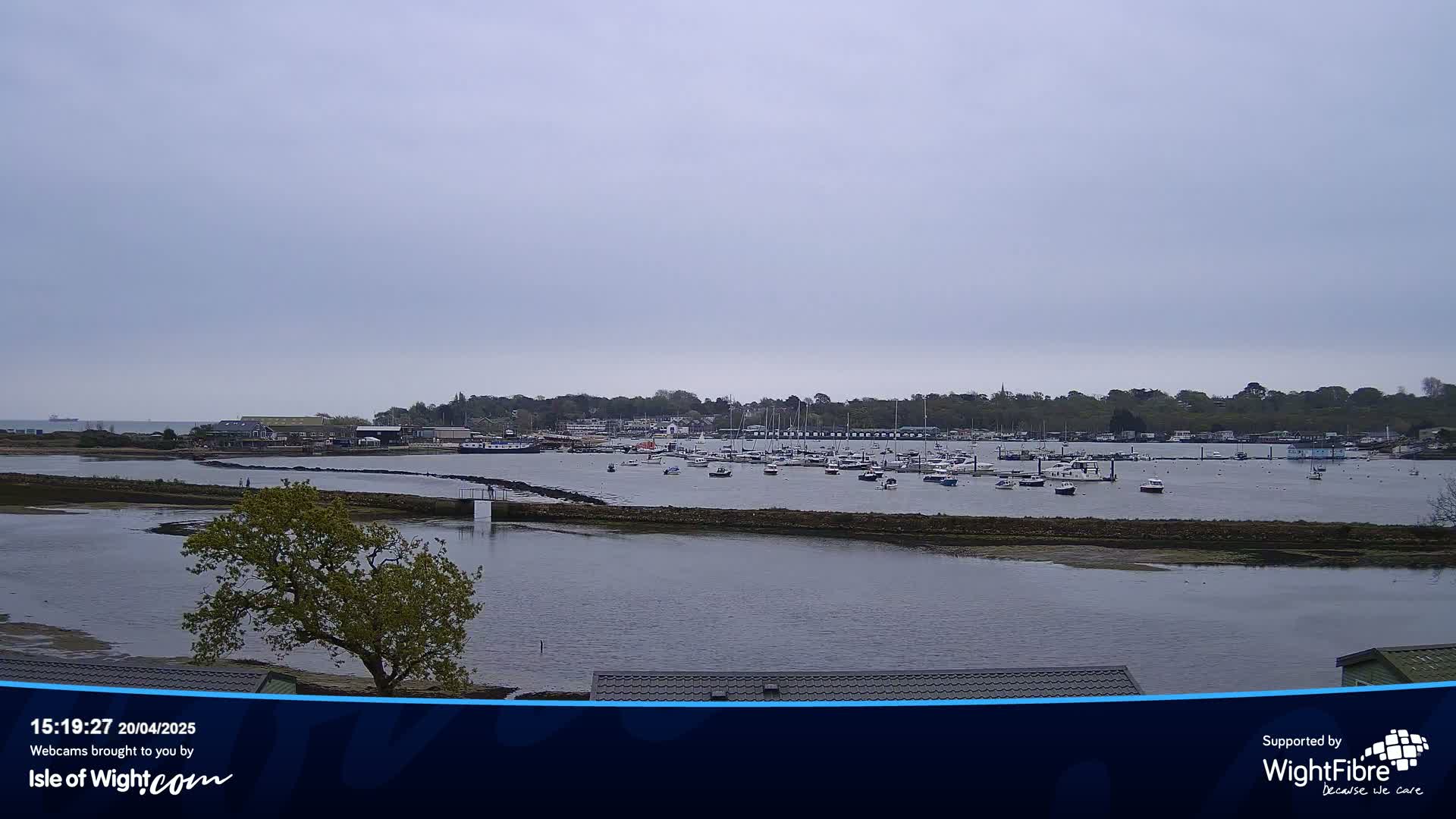 A calm, overcast day reveals a marina filled with numerous boats, situated across a body of water from a shoreline with low-lying vegetation and a few buildings.