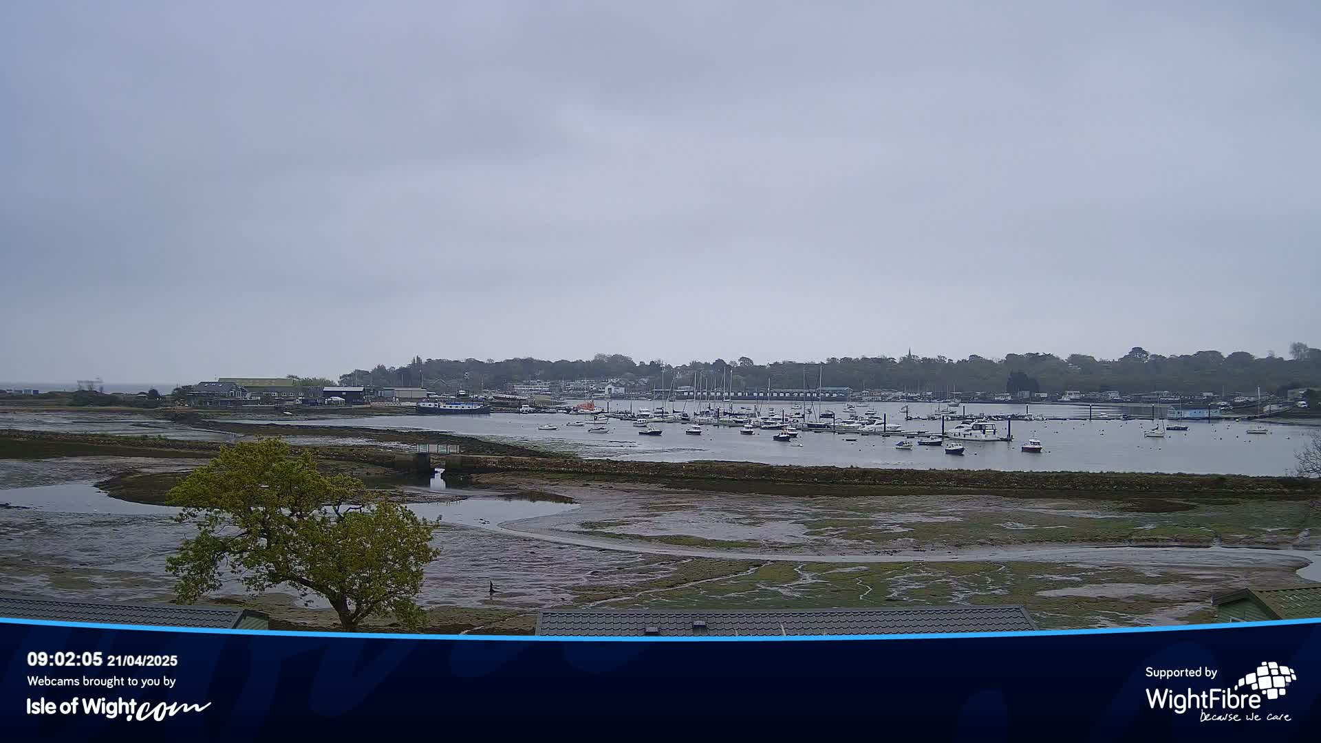 A harbor filled with numerous boats is visible under an overcast sky, with exposed mudflats in the foreground.