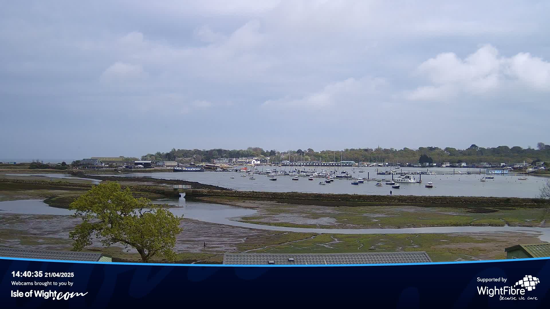 A mostly cloudy day reveals a calm body of water with numerous boats docked near a shoreline of buildings and trees.