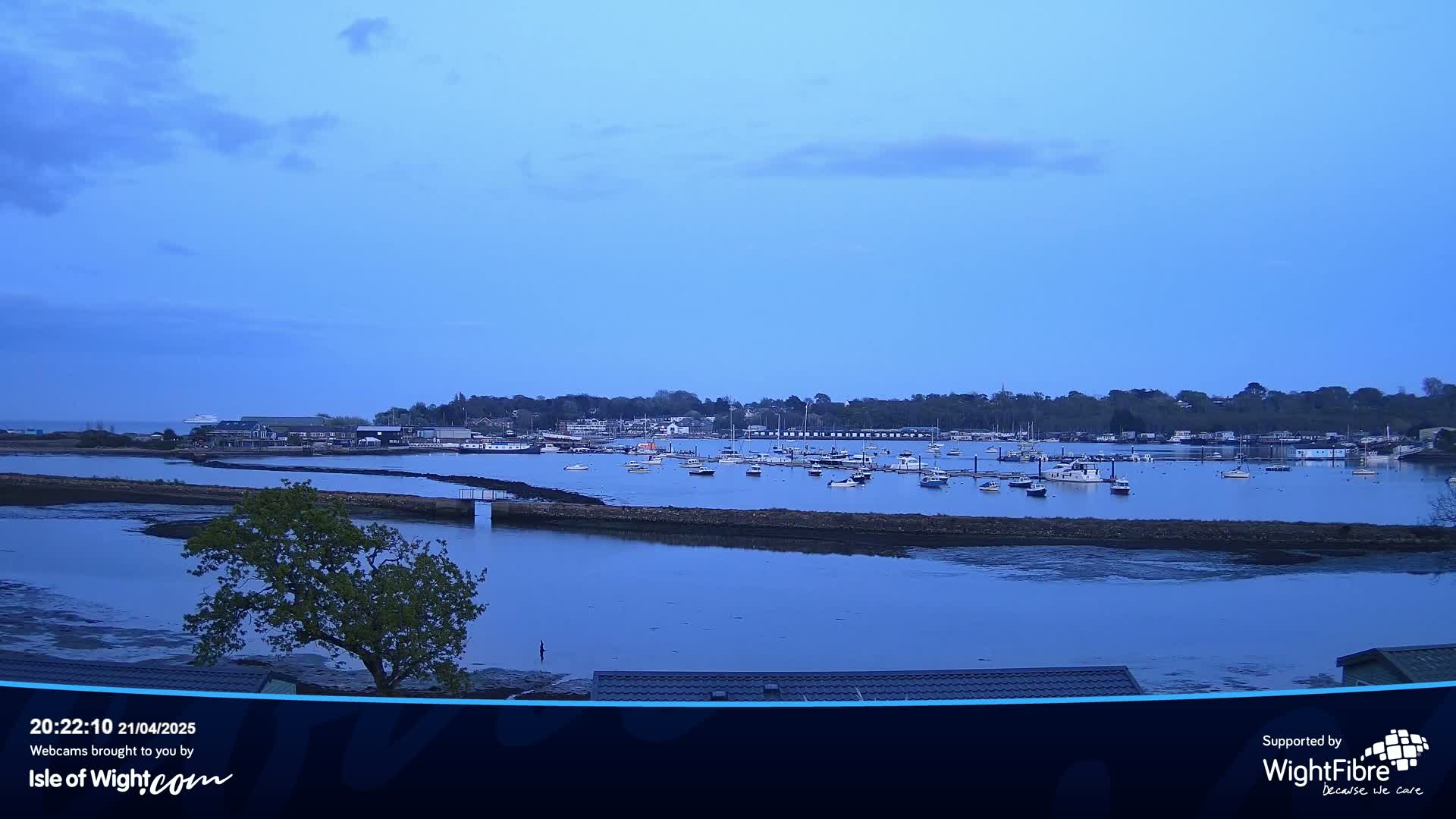 A calm, twilight harbor scene shows numerous boats moored in the water, surrounded by a low-lying shoreline and a background of trees.