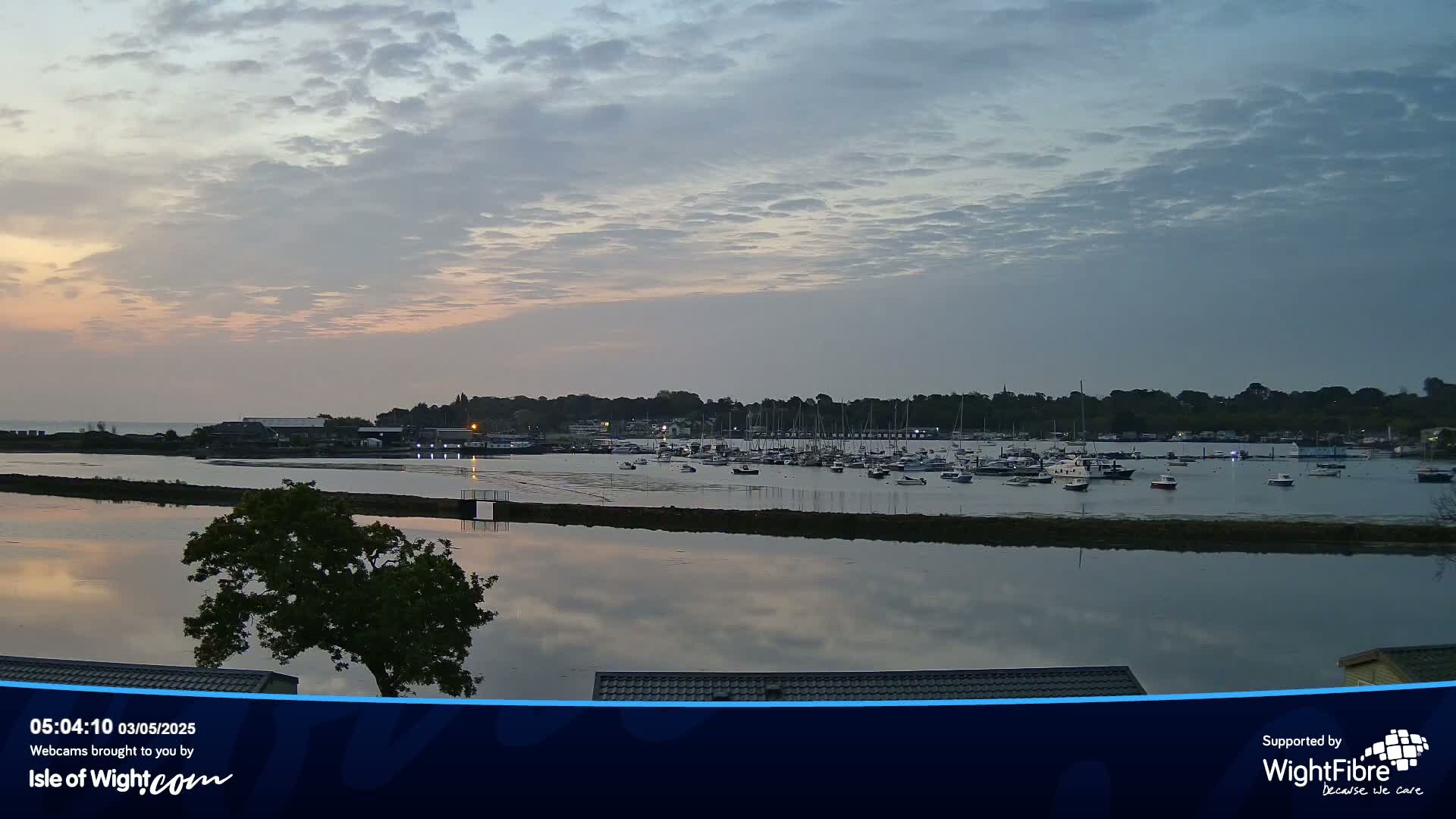 A calm body of water reflects a cloudy twilight sky, numerous boats are moored in a harbor across the water, and a lone tree stands in the foreground.