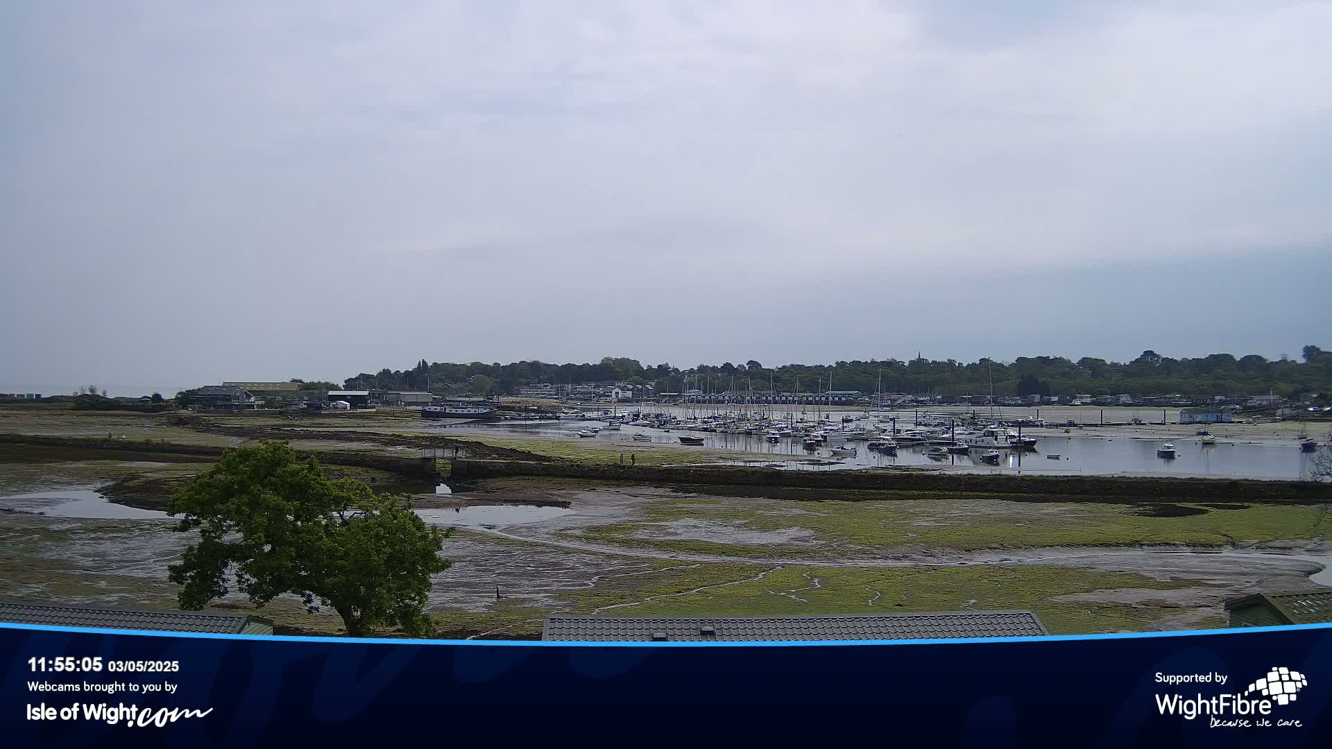 A mostly cloudy day reveals a marina filled with numerous boats at low tide, with exposed mudflats stretching to the shoreline and a tree in the foreground.