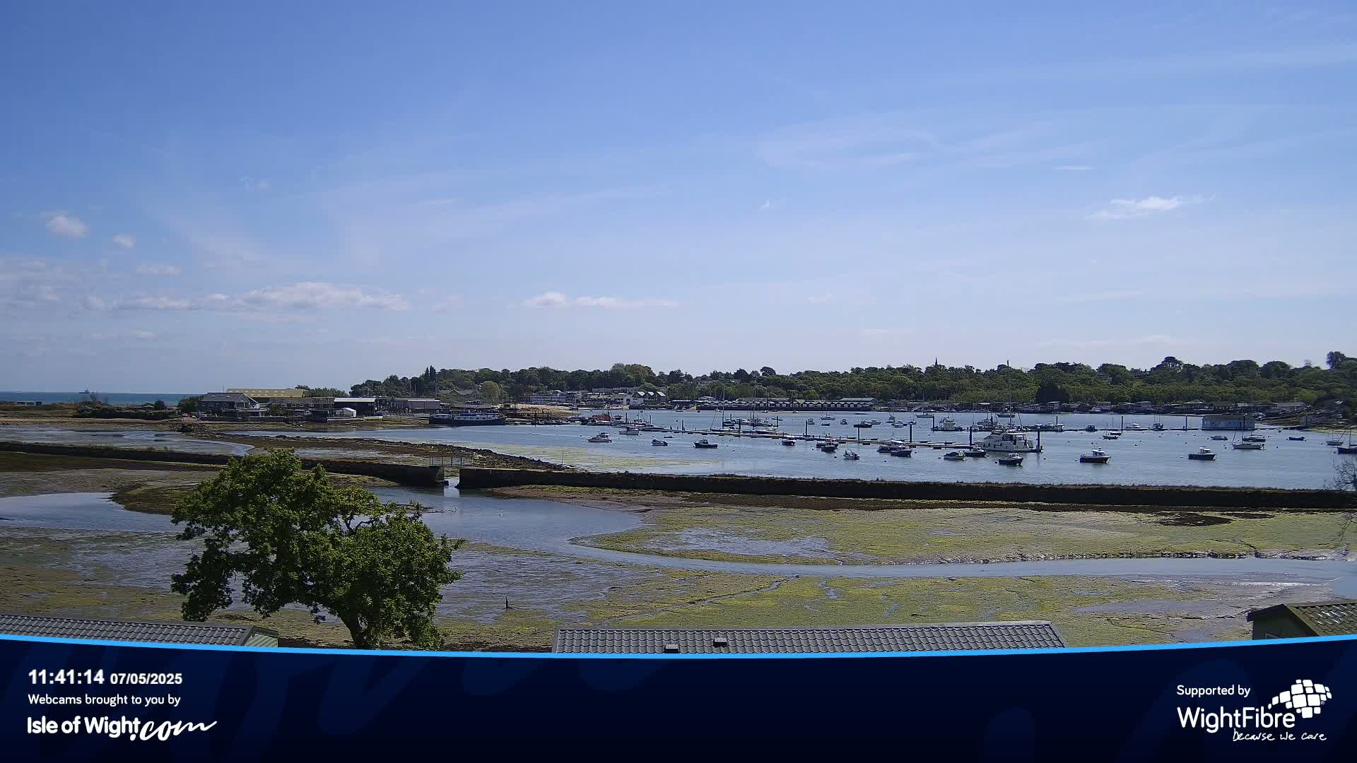 A sunny day reveals a calm harbor filled with numerous boats, nestled beside a low-lying green shoreline and a background of trees and houses.