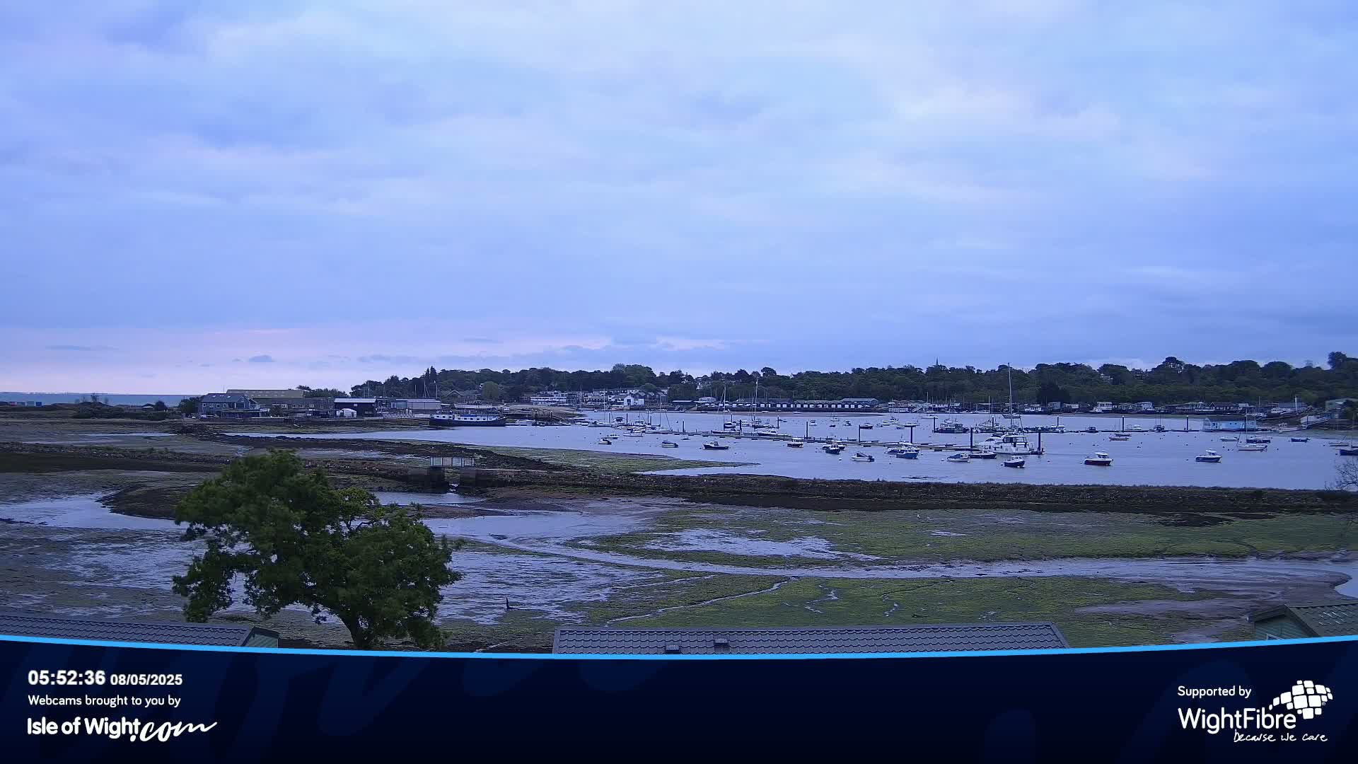 A calm, overcast day reveals a harbor filled with boats at low tide, nestled between a shoreline and a tree-lined hill.