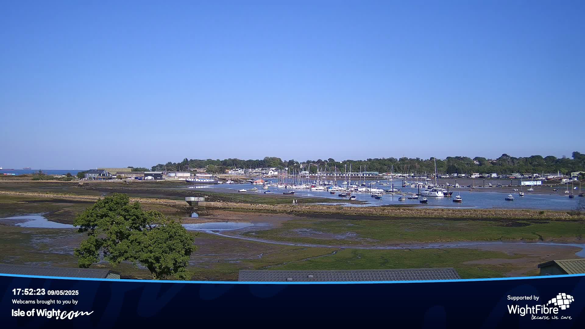 A sunny day reveals a harbor filled with numerous boats at low tide, with exposed mudflats and green vegetation surrounding the water.