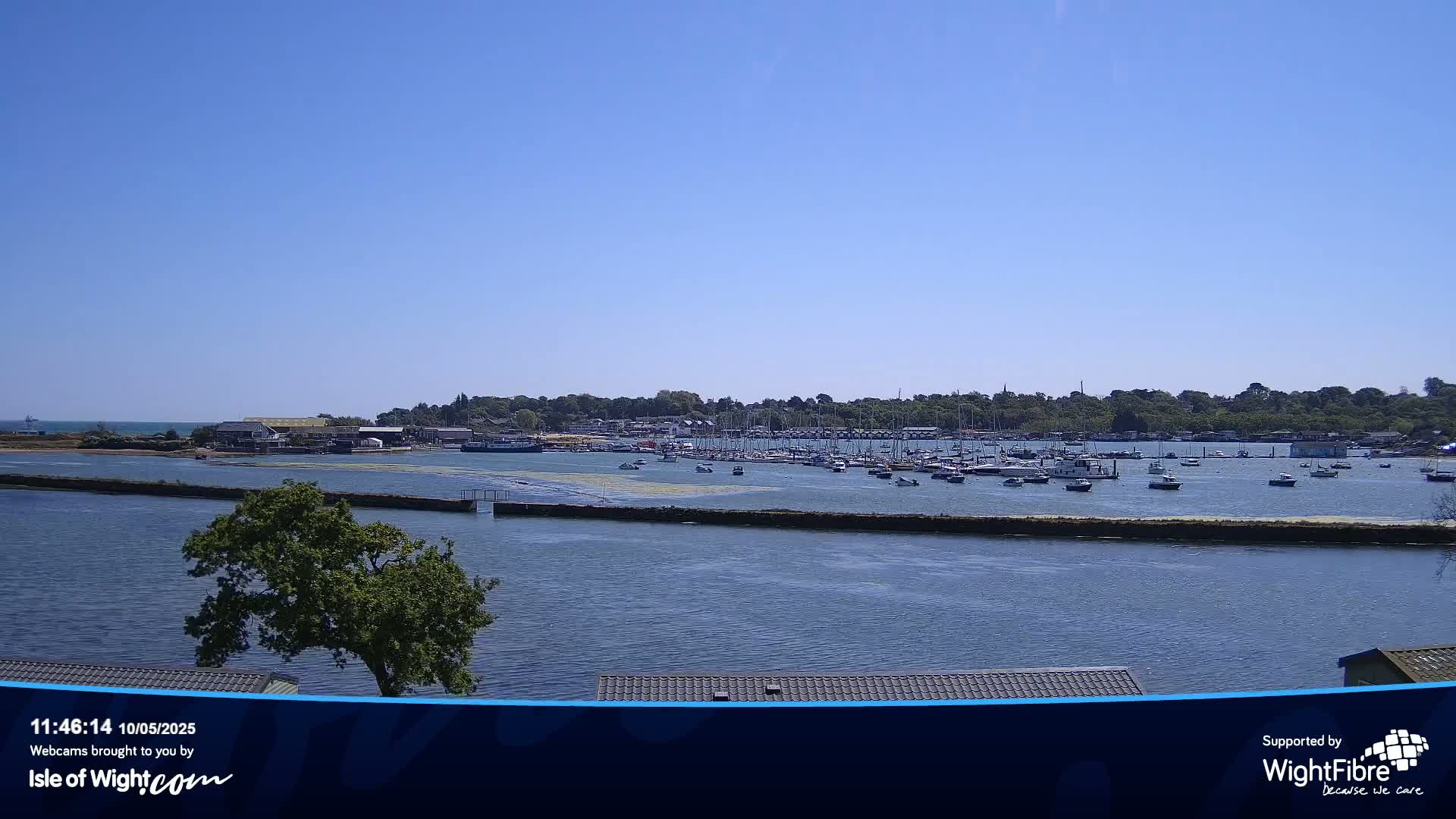 A sunny day shows a calm body of water with many boats docked near a tree-lined shore.