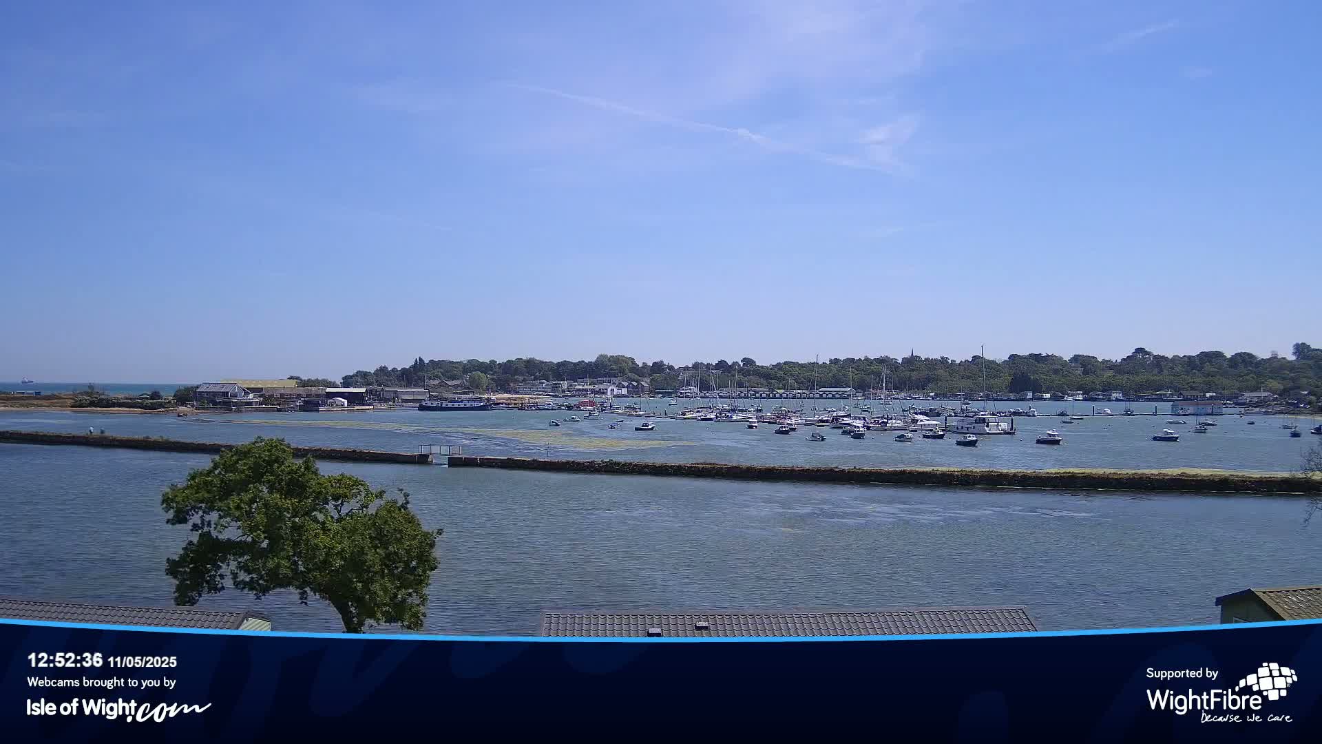 A sunny day shows a calm body of water with numerous boats moored in a harbor, across from a tree-lined shore.