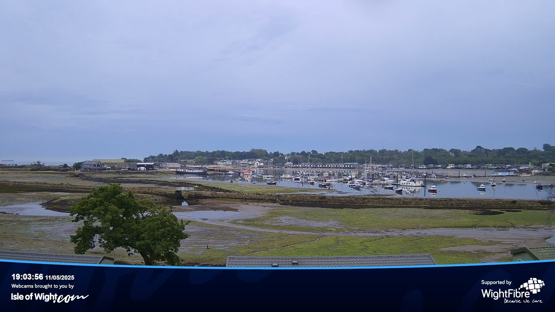 A mostly sunny day reveals a harbor filled with boats at low tide, surrounded by green land and buildings.