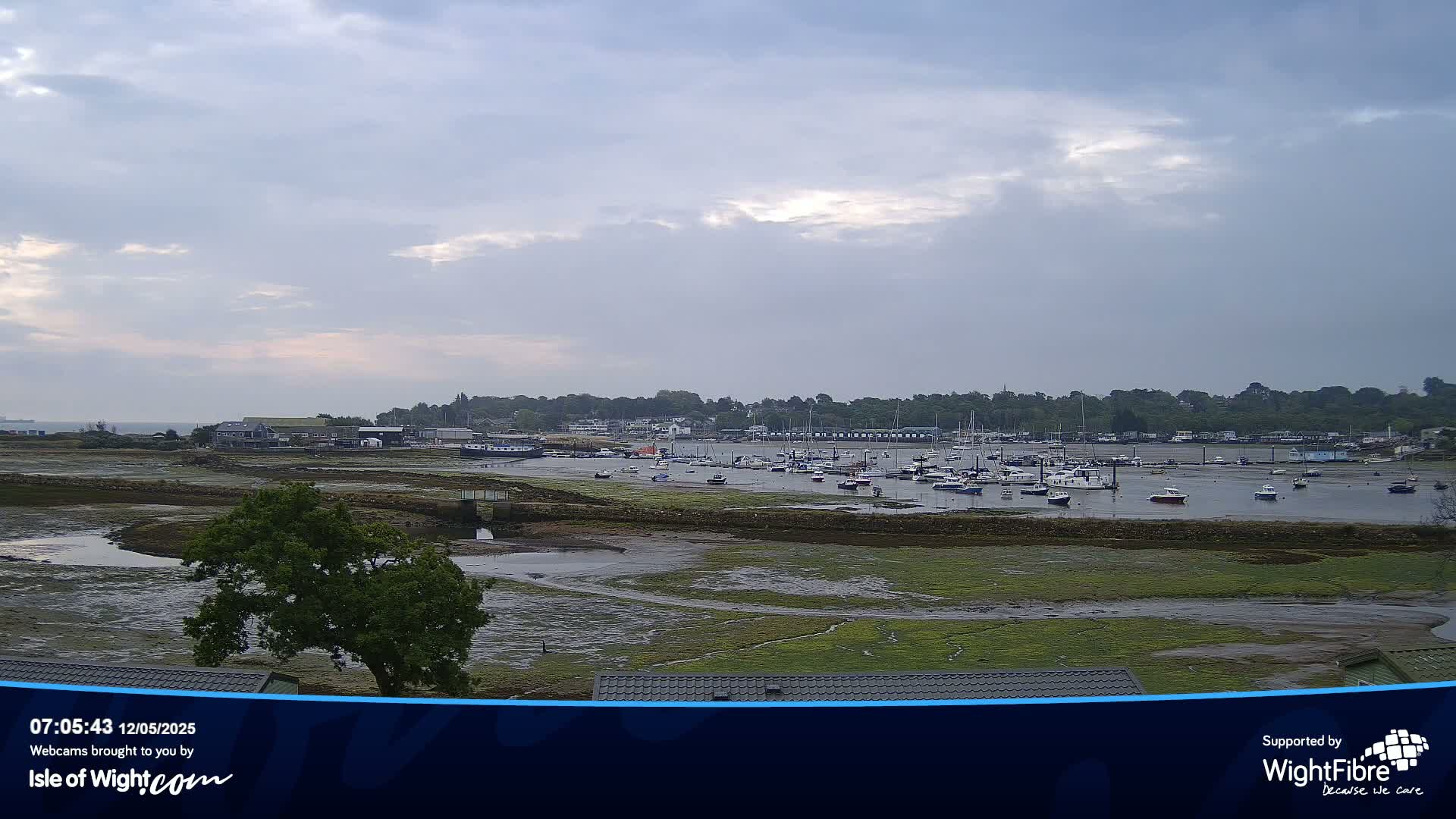 A harbor filled with numerous boats is visible under a cloudy sky, with exposed mudflats and a solitary tree in the foreground.