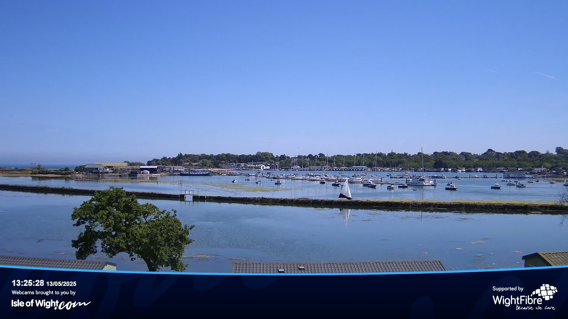 A calm, sunny day reveals a harbor filled with numerous boats, nestled beside a lush green shoreline.