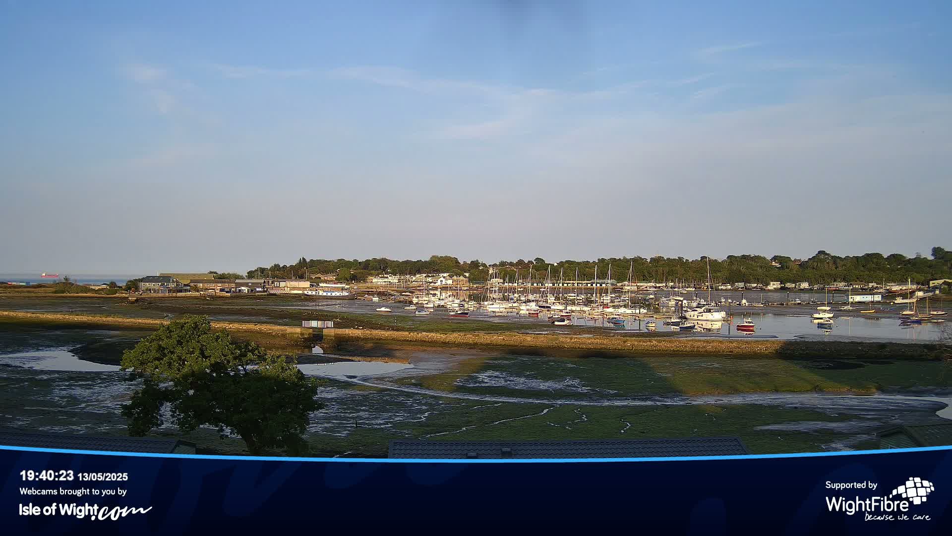 A marina filled with numerous sailboats and motorboats is situated along a shoreline at low tide under a clear, light blue sky.