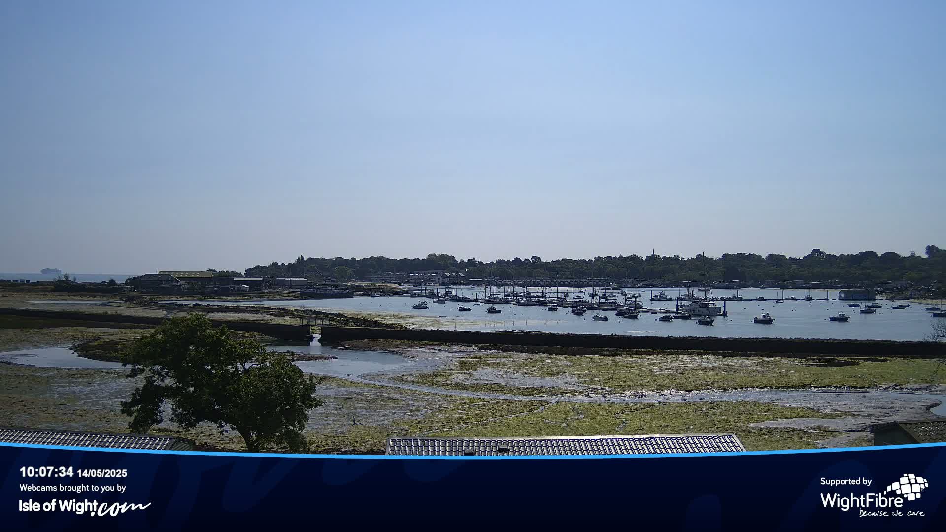 A calm, sunny day reveals a harbor filled with numerous boats, nestled beside a shoreline with exposed mudflats and greenery, and a distant tree line.