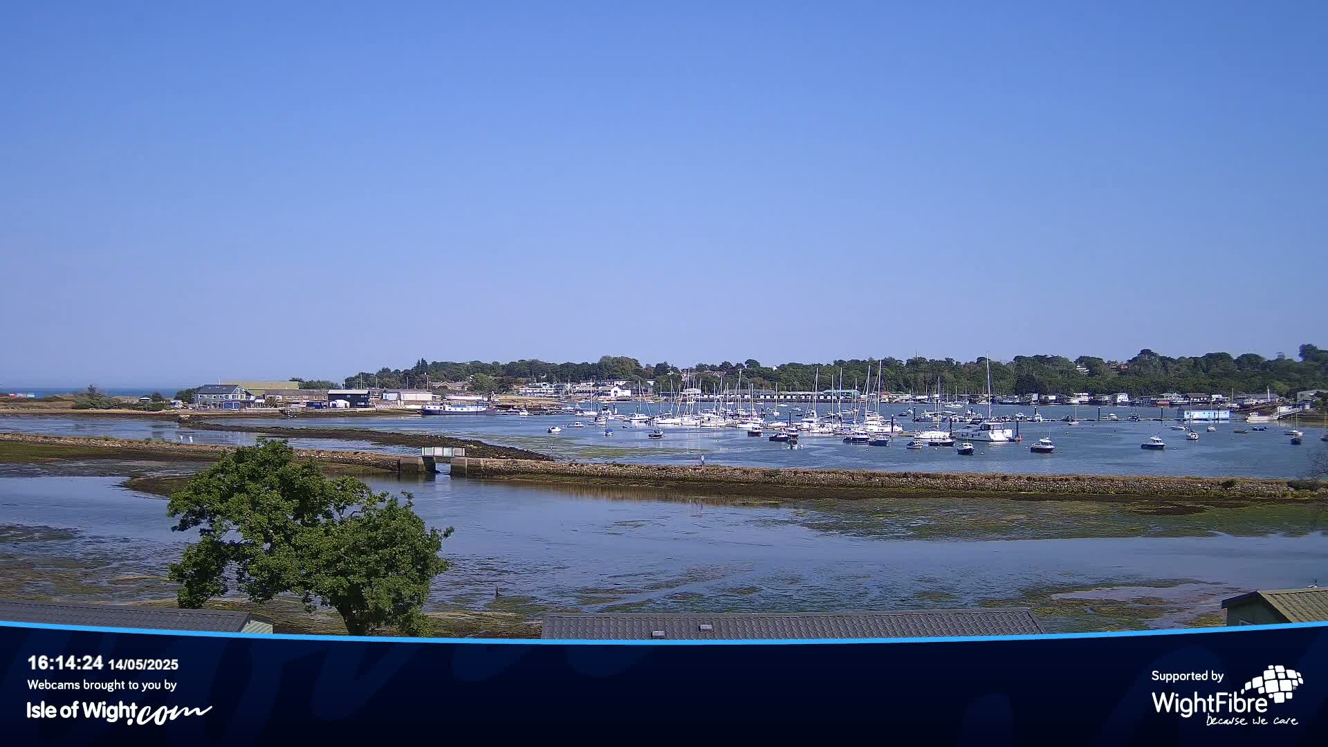 A sunny day reveals a harbor filled with numerous boats, nestled beside a shoreline with low-lying vegetation and a few buildings in the distance.