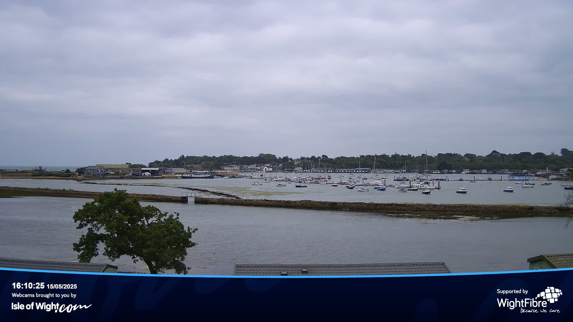 A calm, overcast day reveals a harbor filled with numerous boats and yachts, nestled beside a shoreline of greenery.