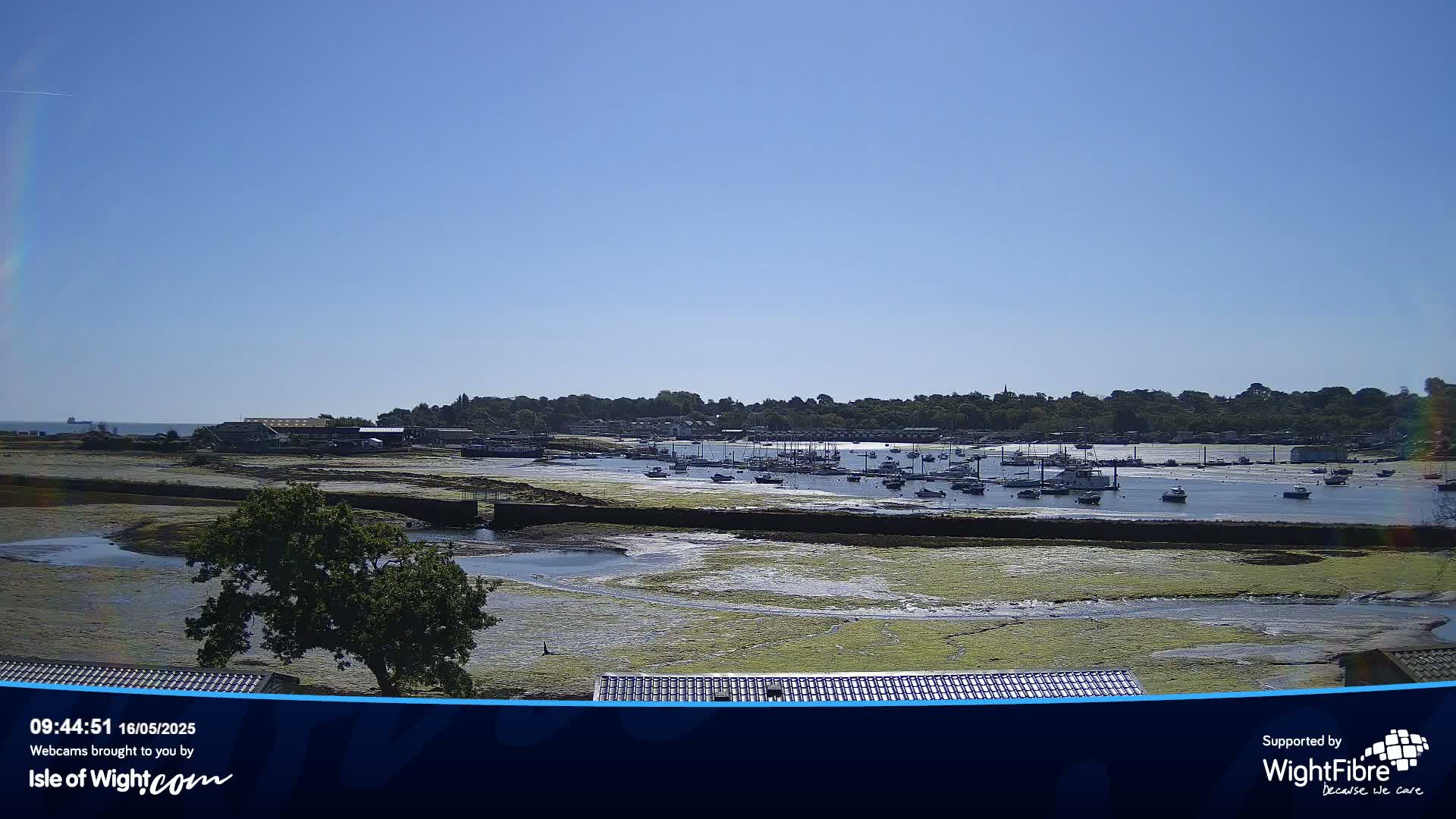 A sunny day reveals a harbor filled with boats at low tide, surrounded by green vegetation and a tree-lined shoreline.