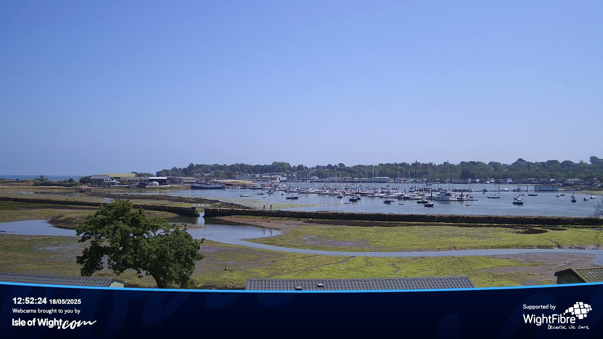 A marina filled with boats is seen across a calm body of water under a clear blue sky, with green-tinged mudflats in the foreground.