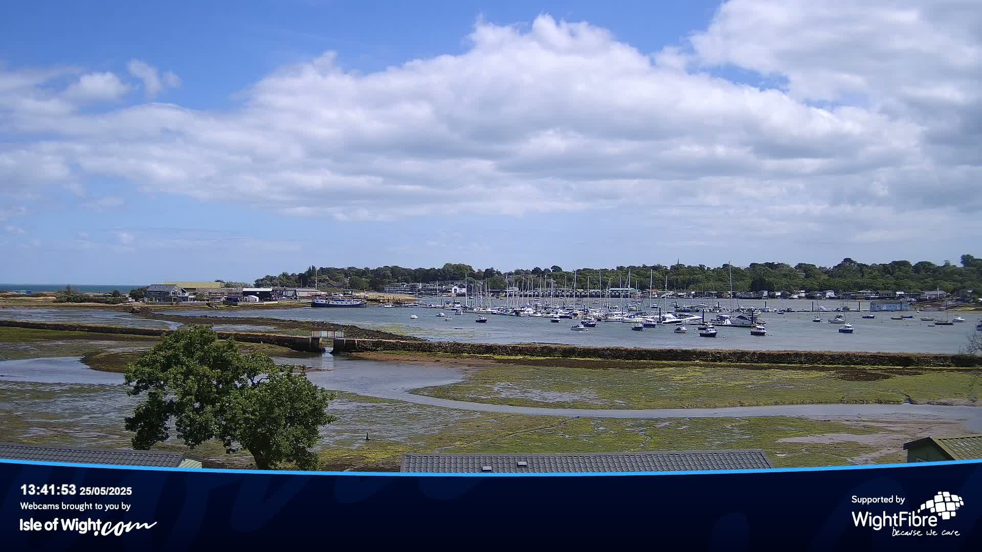 A partly sunny day reveals a marina filled with boats, set against a backdrop of greenery and a calm body of water at low tide.