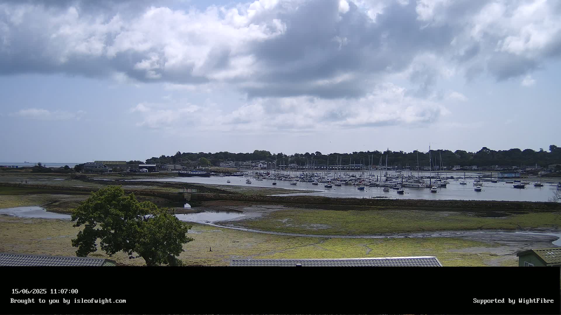 A mostly cloudy day reveals a marina filled with numerous boats, situated near a shoreline with exposed mudflats and greenery, backed by a line of trees and buildings.