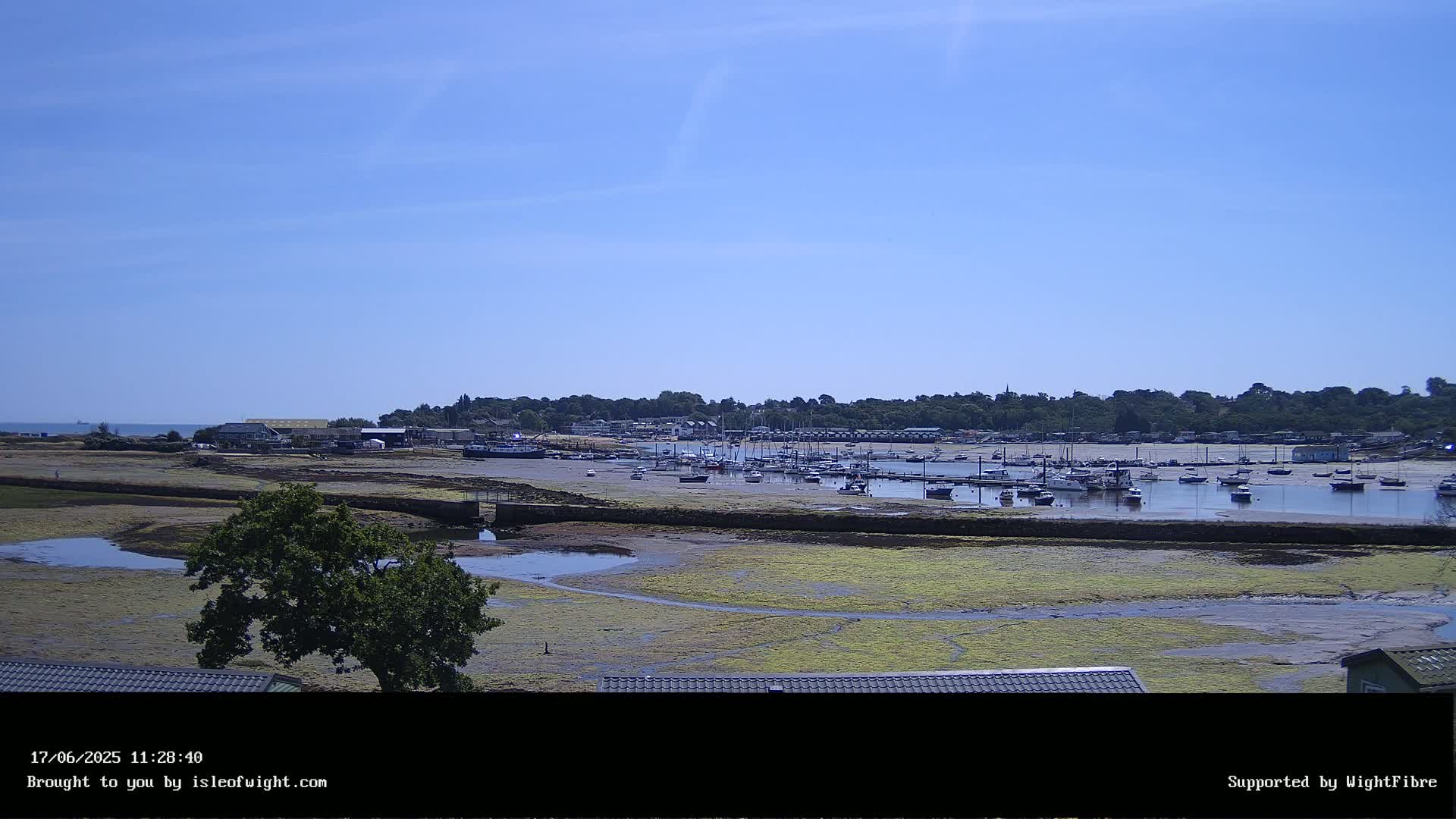 A mostly sunny day reveals a harbor filled with numerous boats at low tide,  surrounded by a shoreline of green vegetation and buildings.