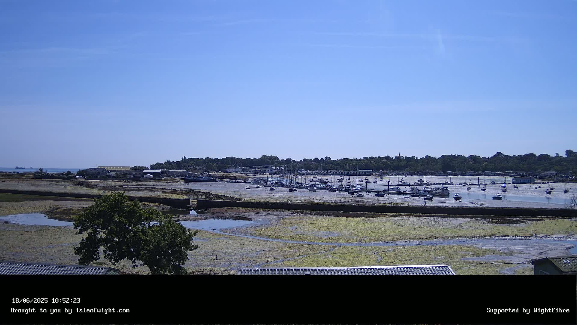 A harbor filled with numerous boats sits at low tide under a clear blue sky, with a line of trees and buildings visible in the background.