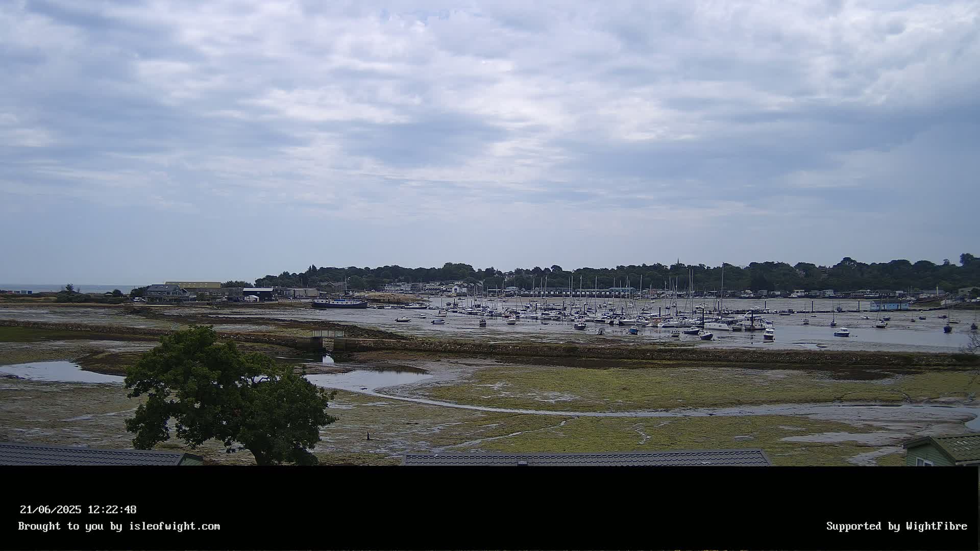A mostly cloudy day reveals a large marina filled with sailboats at low tide, with a treeline visible in the background.