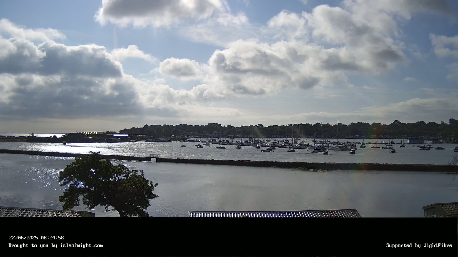 A partly cloudy day shows a harbor filled with numerous boats, a line of trees across the water, and a single tree in the foreground.
