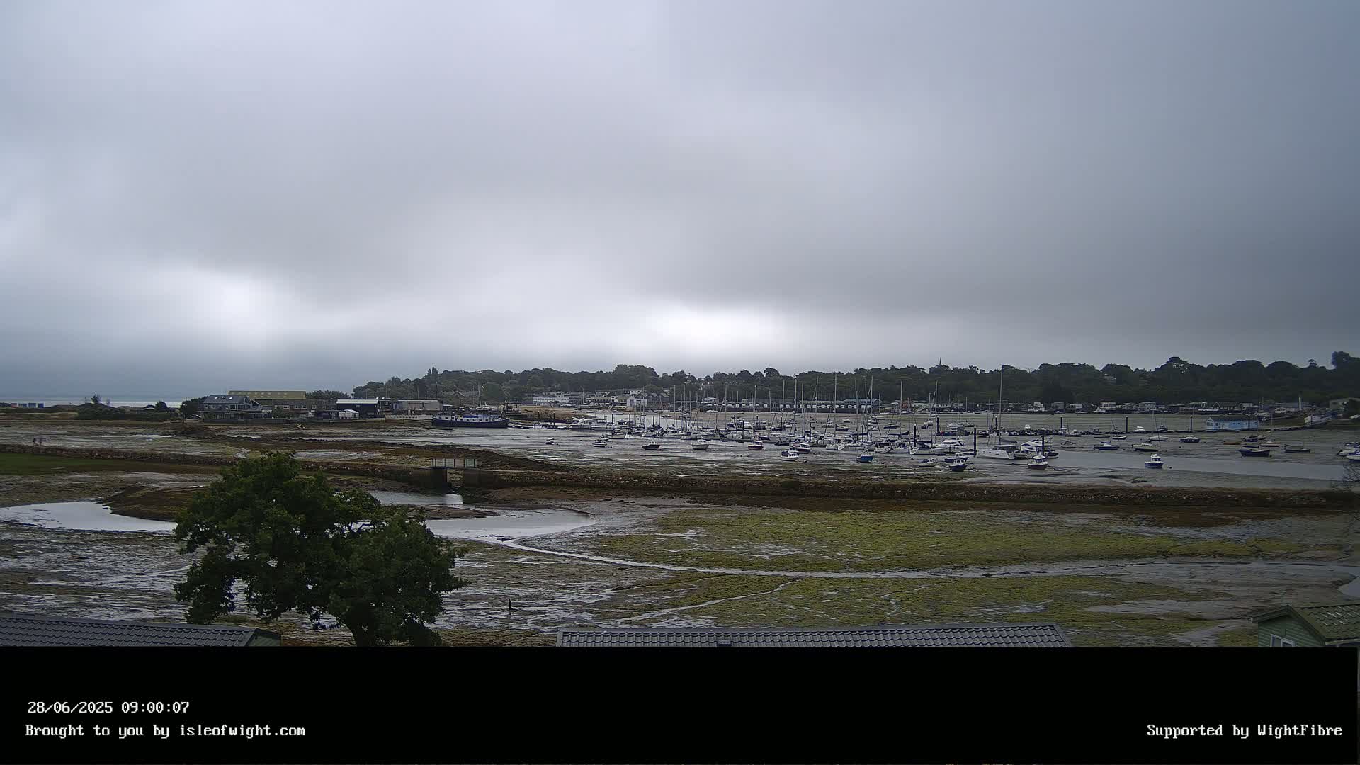 A low-tide, overcast day reveals a marina filled with boats and a shoreline with greenery, nestled beneath a grey sky.