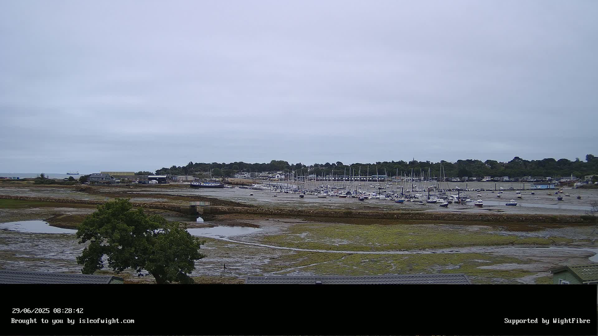 A wide shot of a marina with many boats at low tide under an overcast sky.
