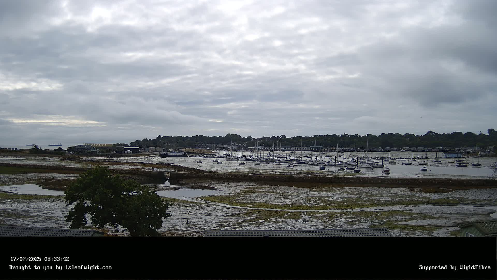 A mostly cloudy day reveals a harbor filled with numerous boats at low tide, with a tree and shoreline in the foreground.