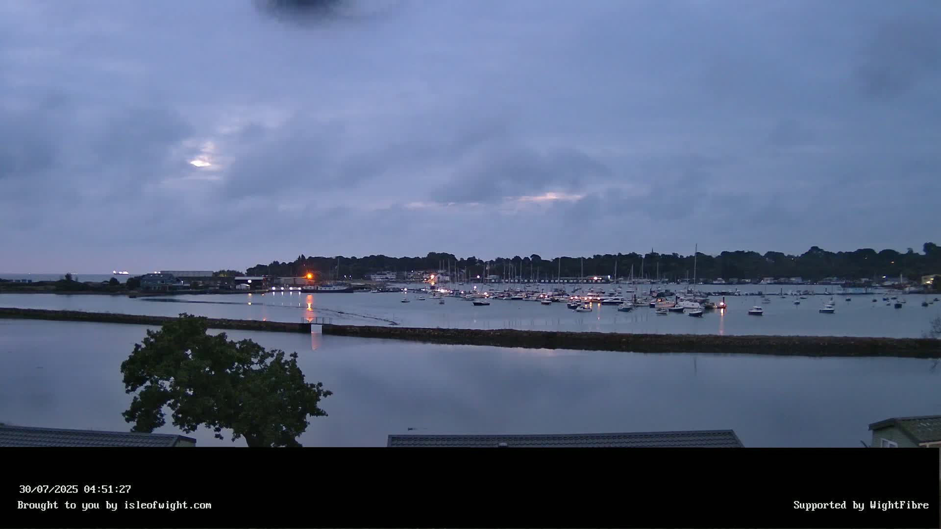 A mostly cloudy day reveals a harbor filled with numerous boats at low tide, with a tree and shoreline in the foreground.